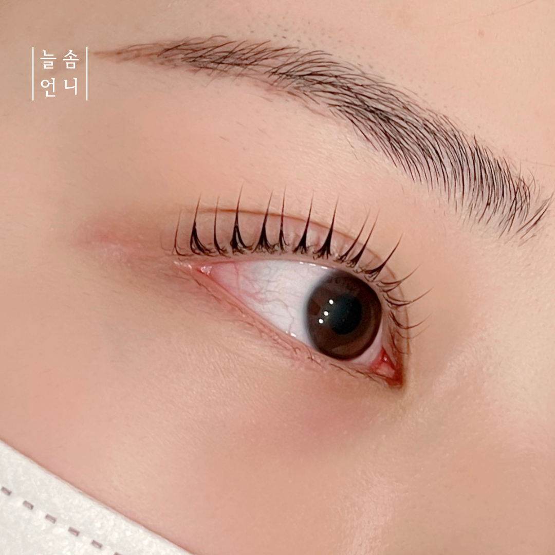 늘솜언니