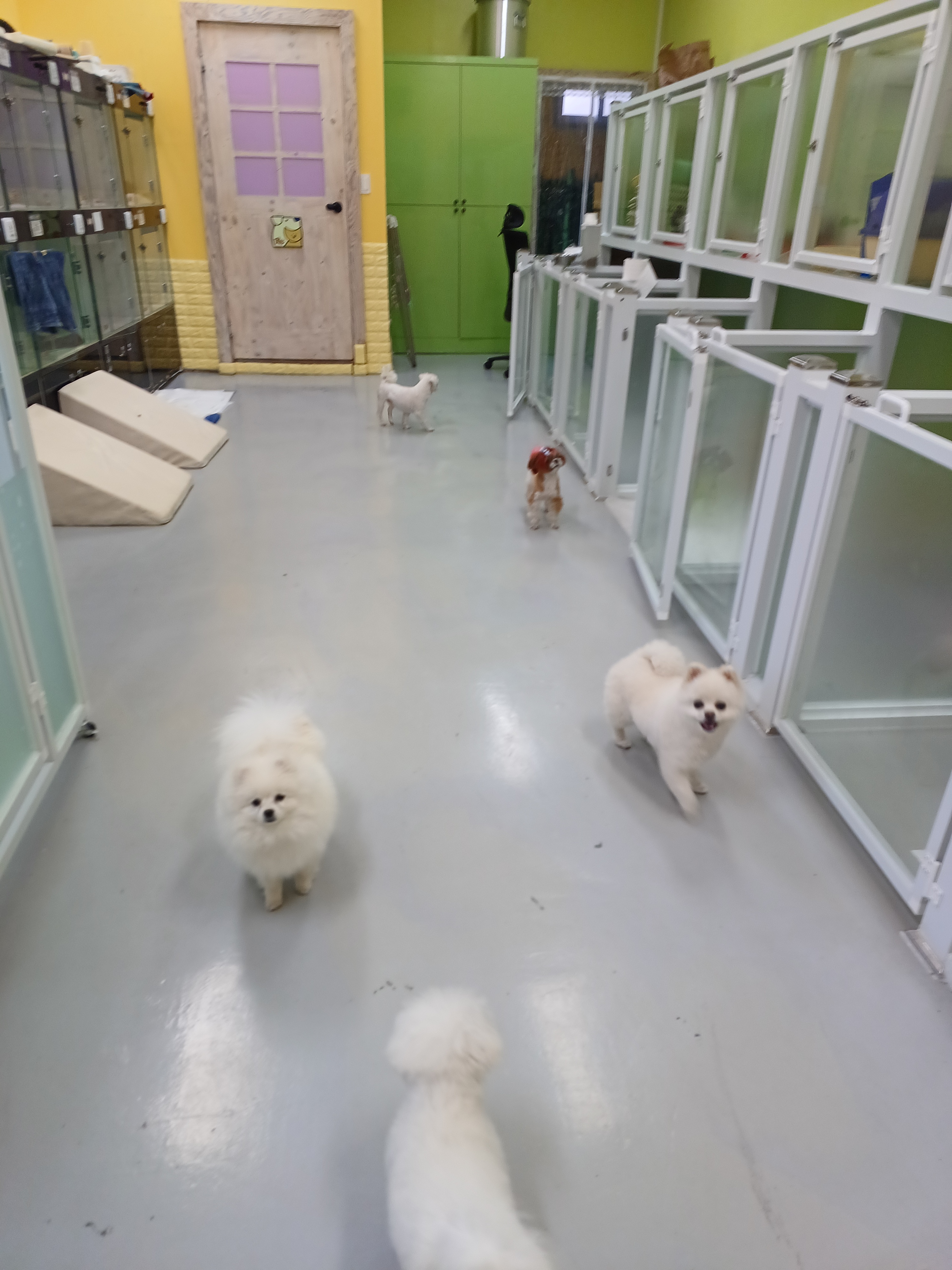 이츠펫오창점