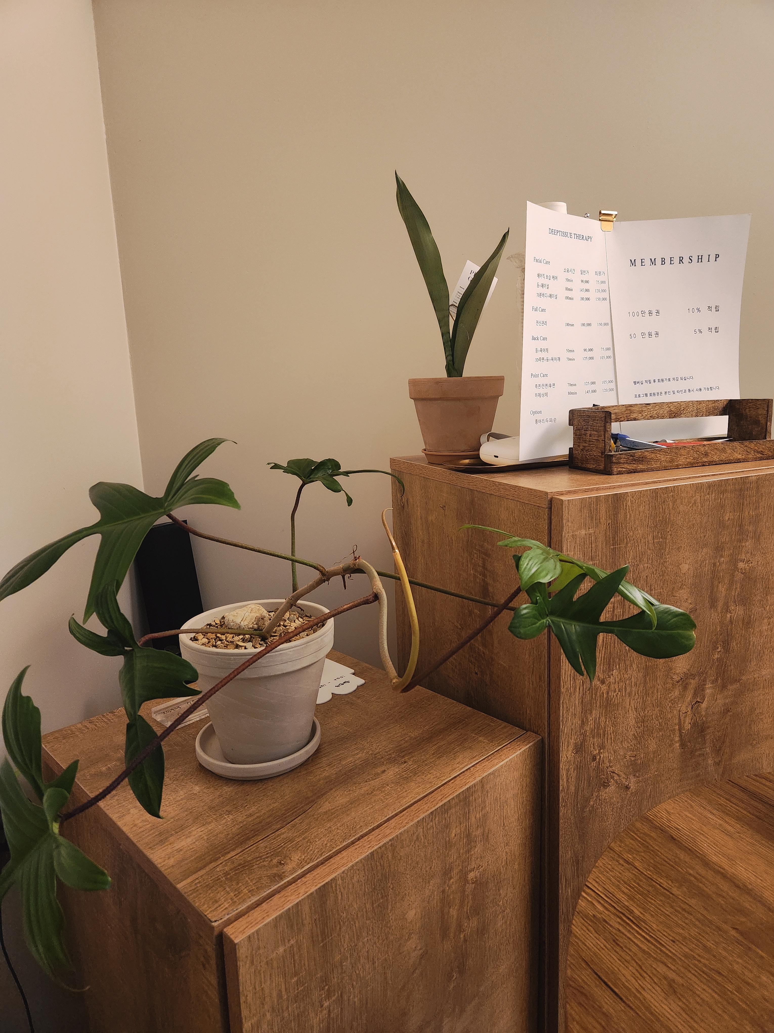 힐링공간 (수유역) 매장 사진 5