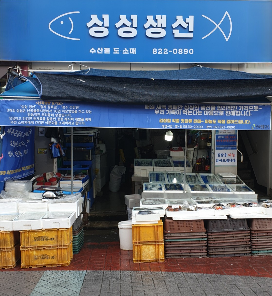 싱싱생선