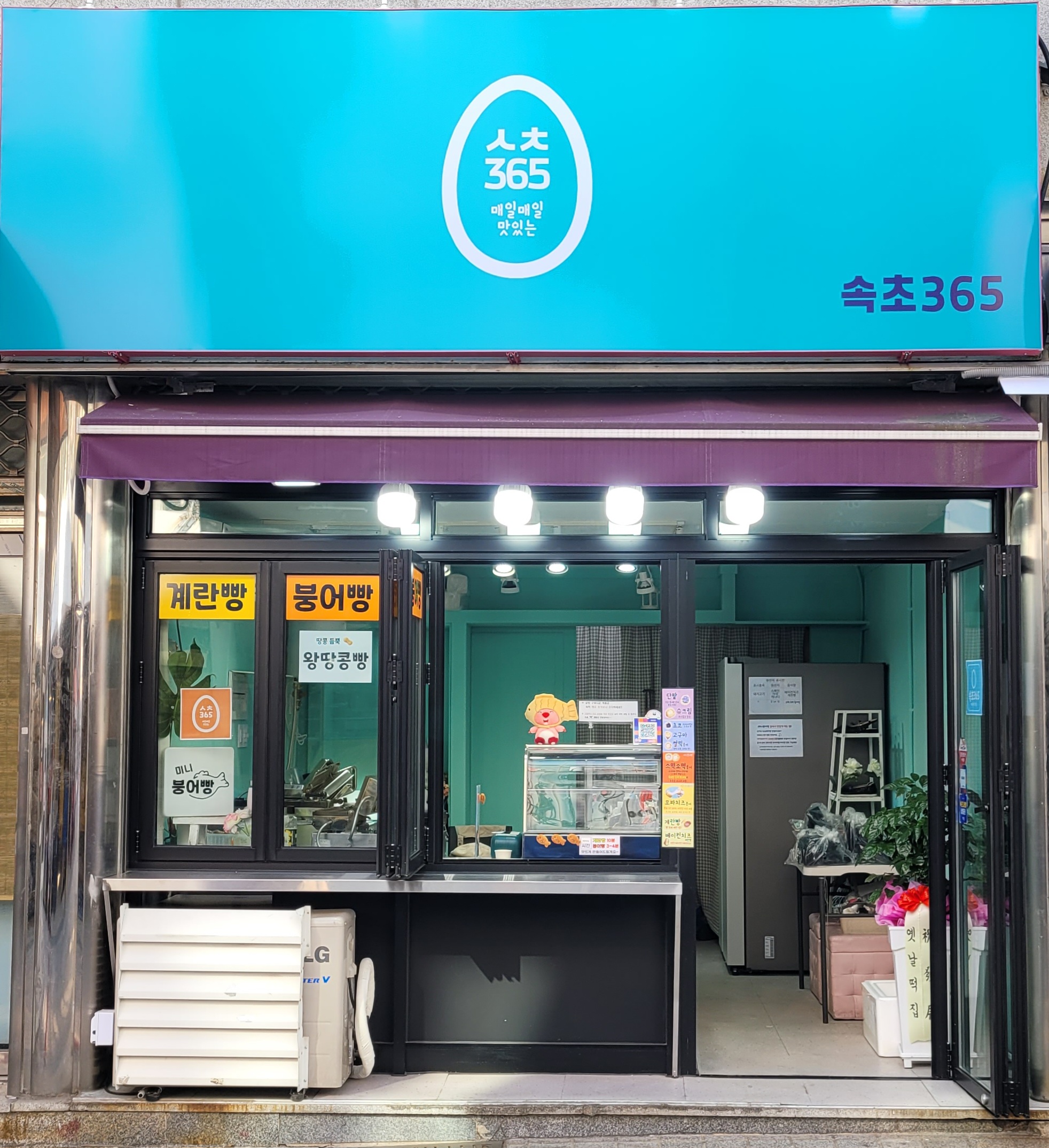 속초365