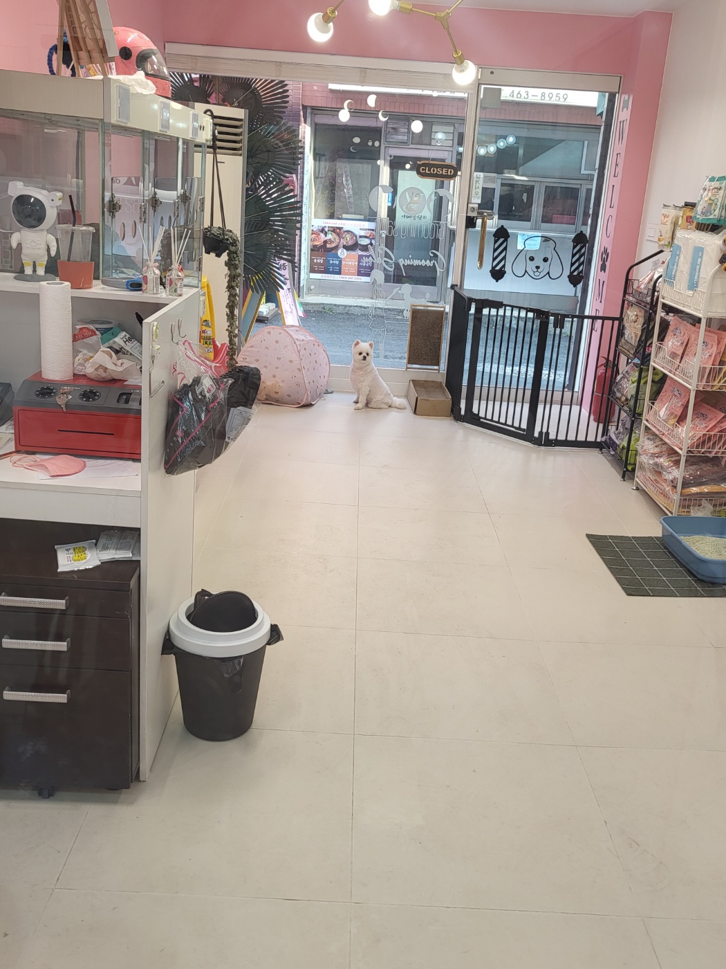 그 꼴로 산책가개 대표 이미지