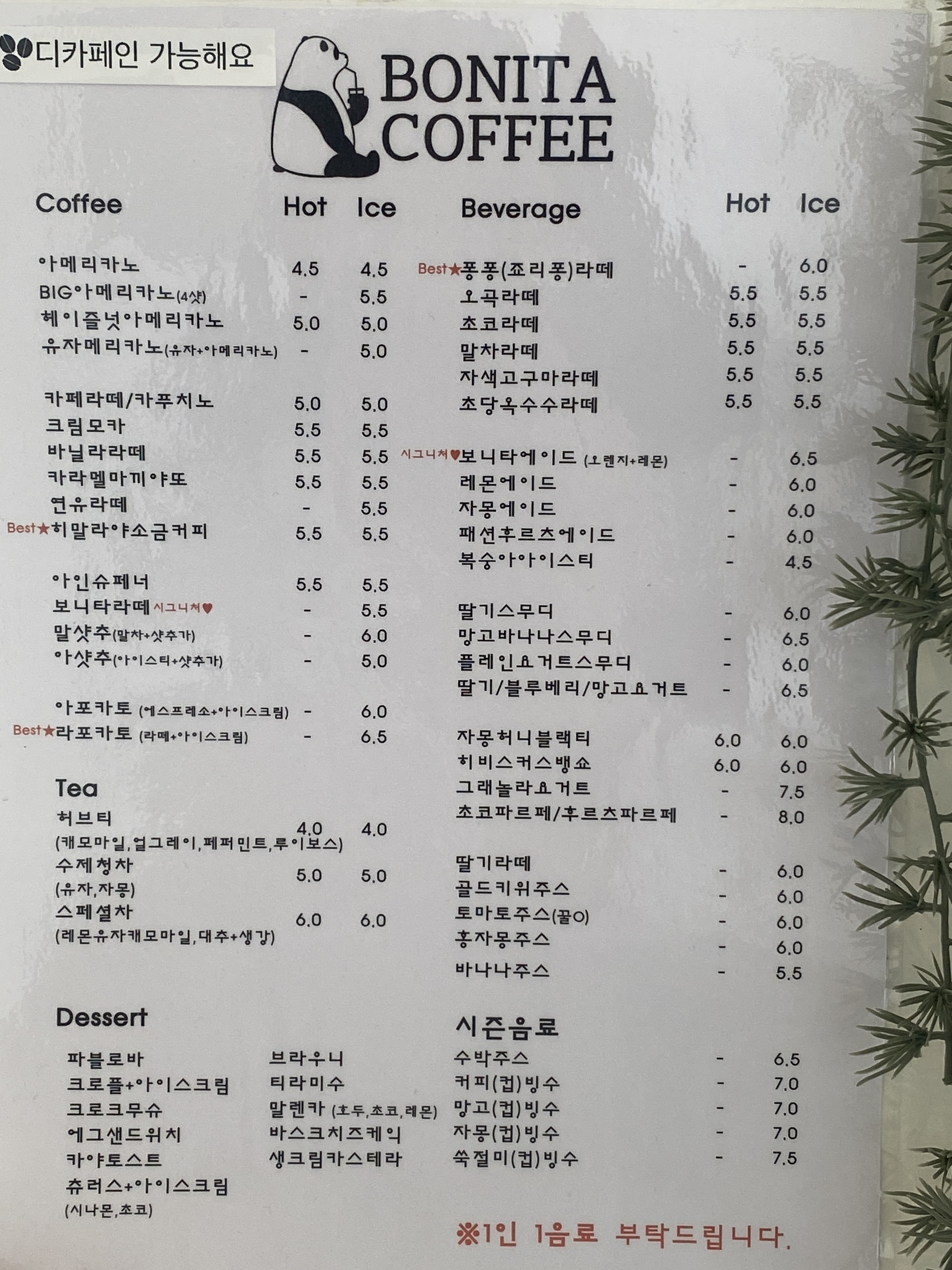 보니타커피 경상 애견카페