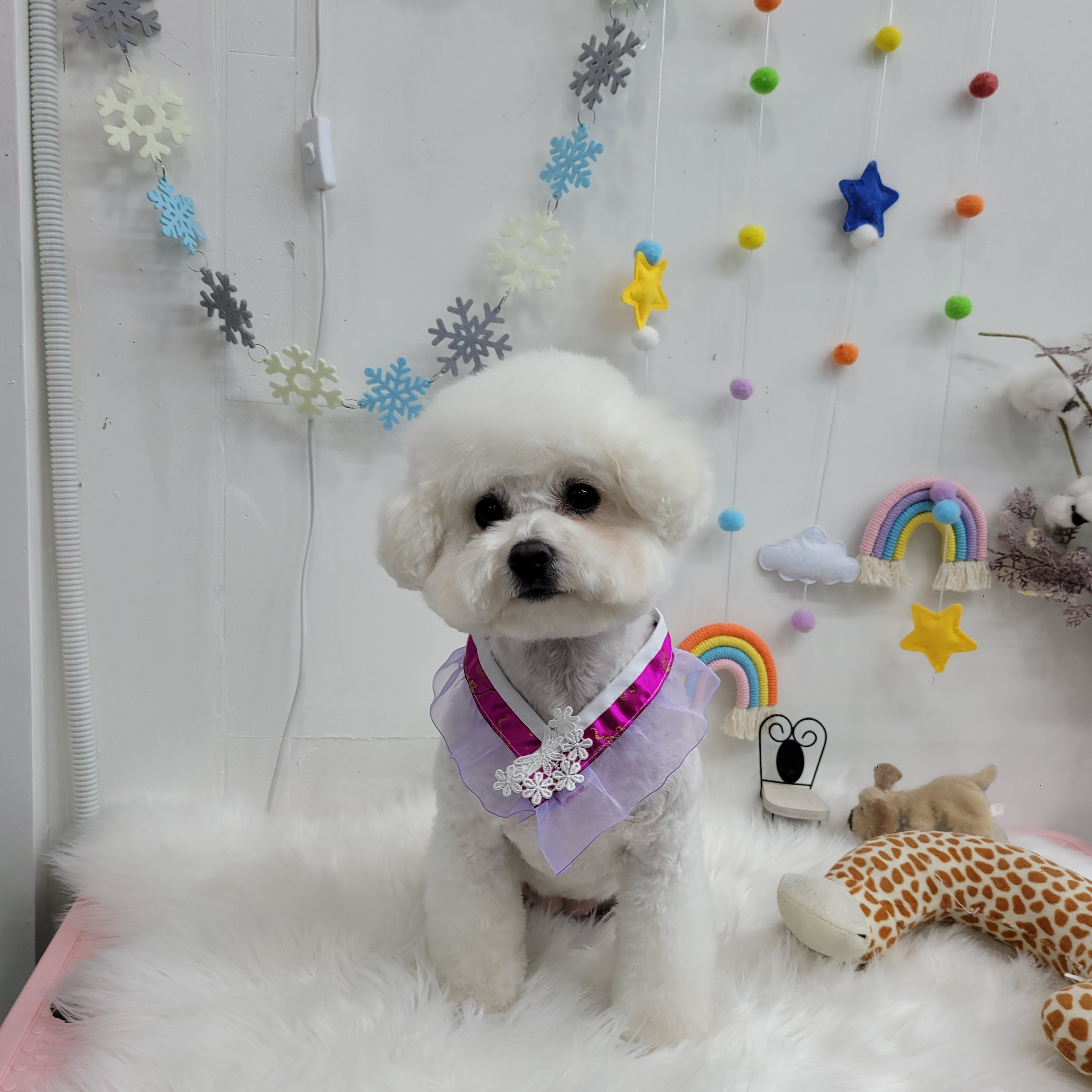 독DOG도 대표 이미지