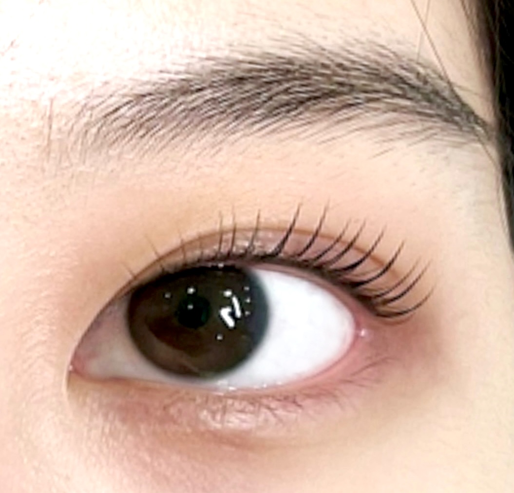 뉴니눈썹 대표 이미지