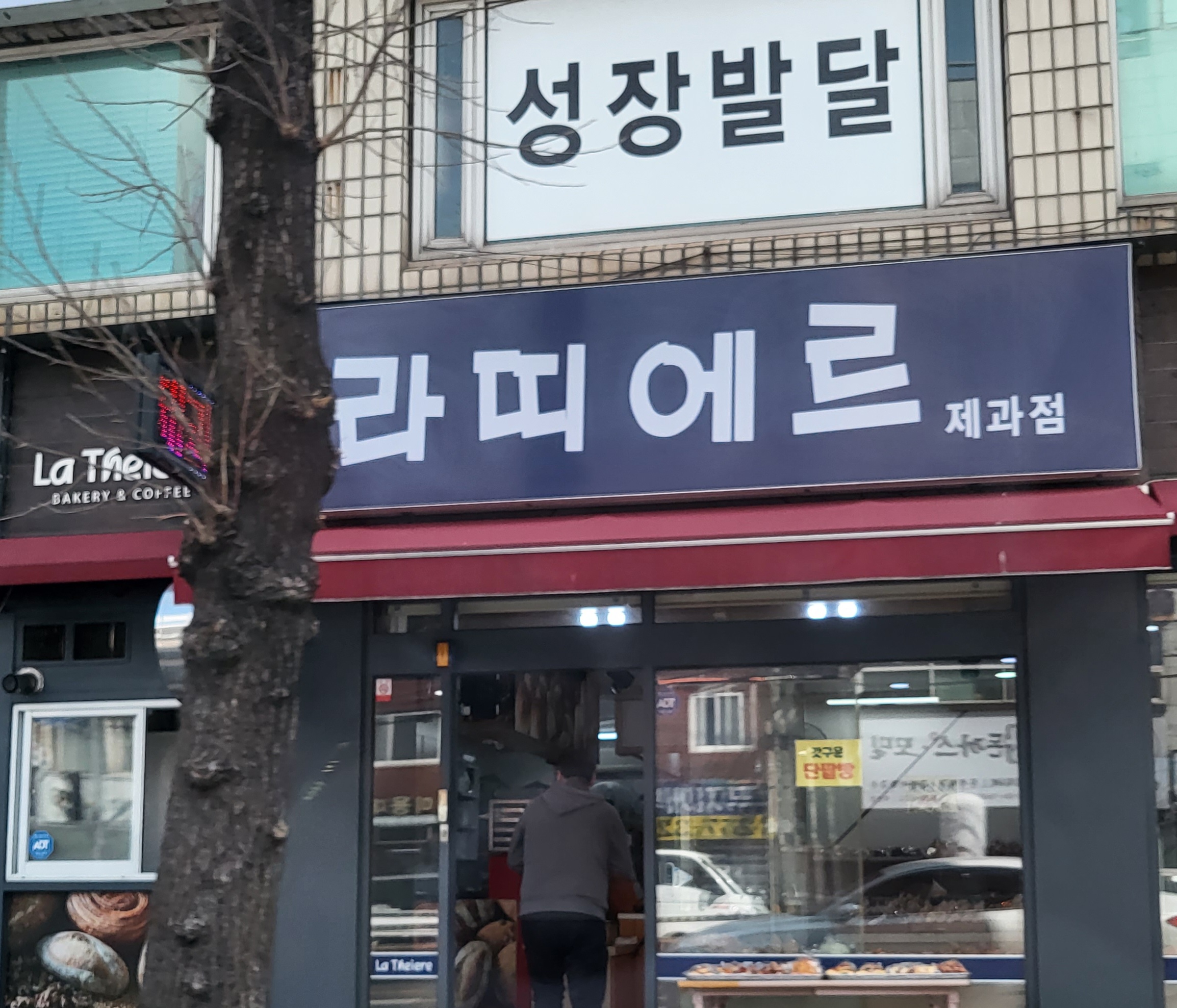라띠에르