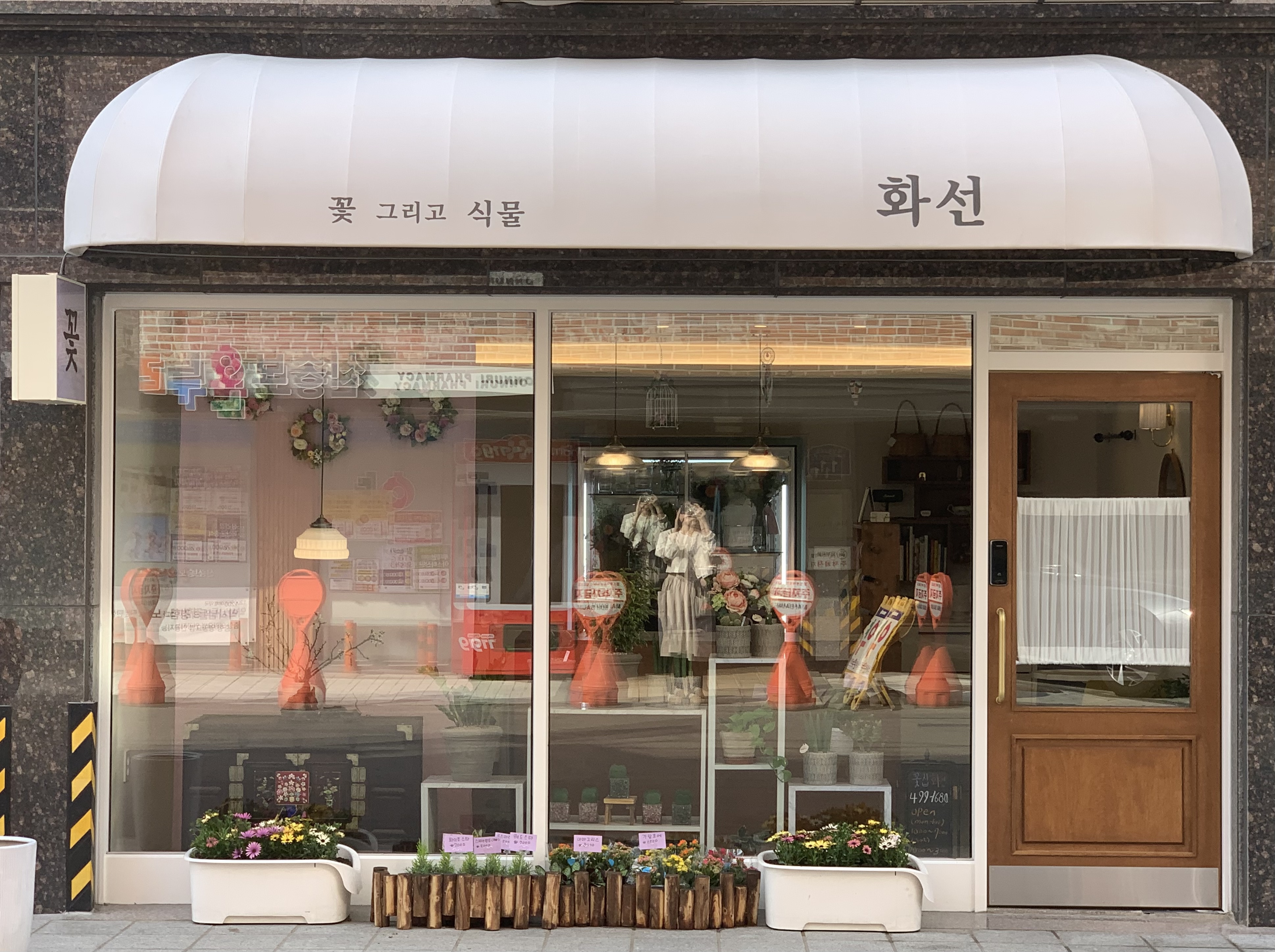 화선