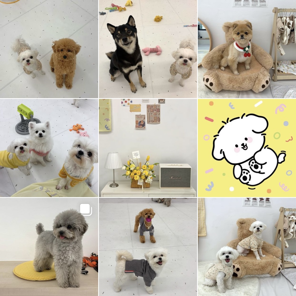 딩굴댕굴 대표 이미지