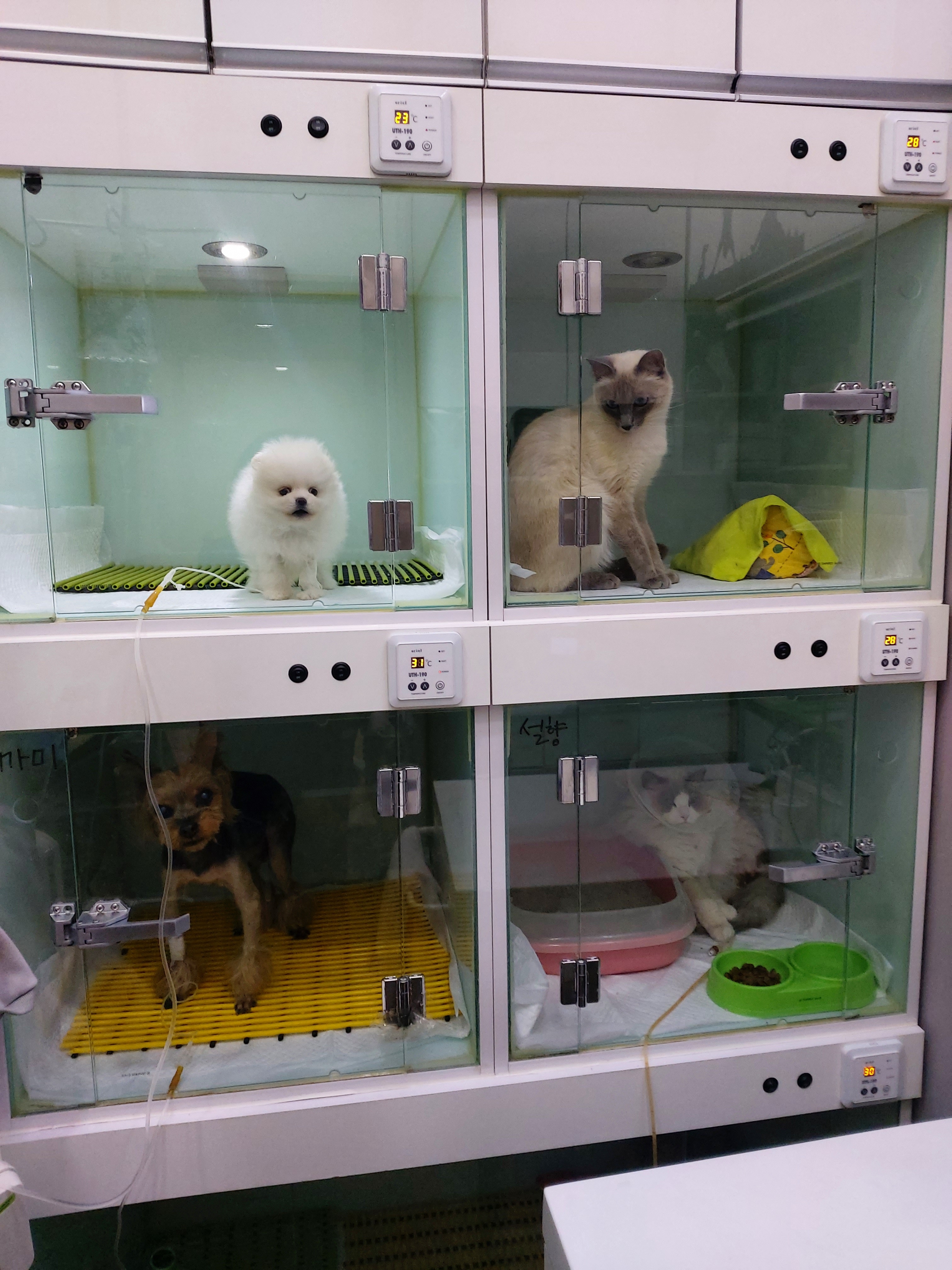 공원옆동물의료센터 대표 이미지