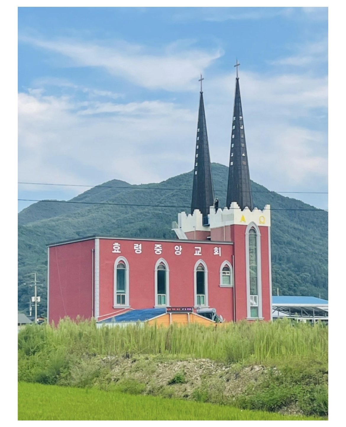 골드 종합 관리