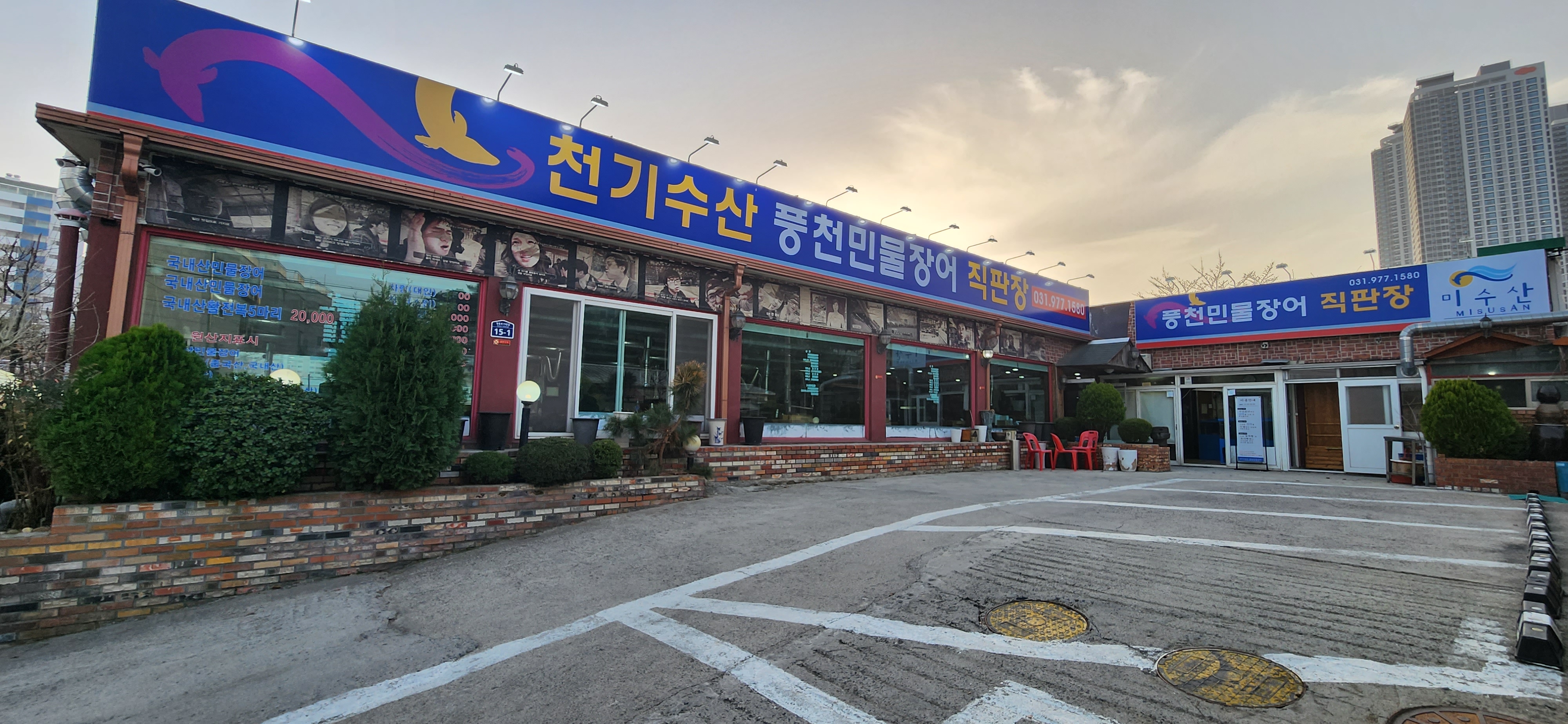 천기수산풍천민물장어 설명사진