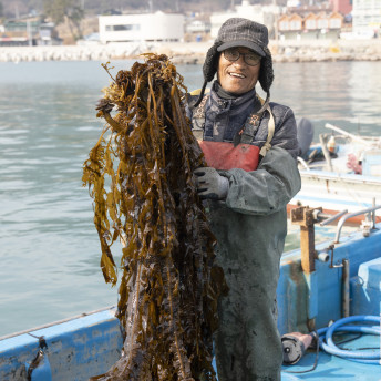 달밭협동조합