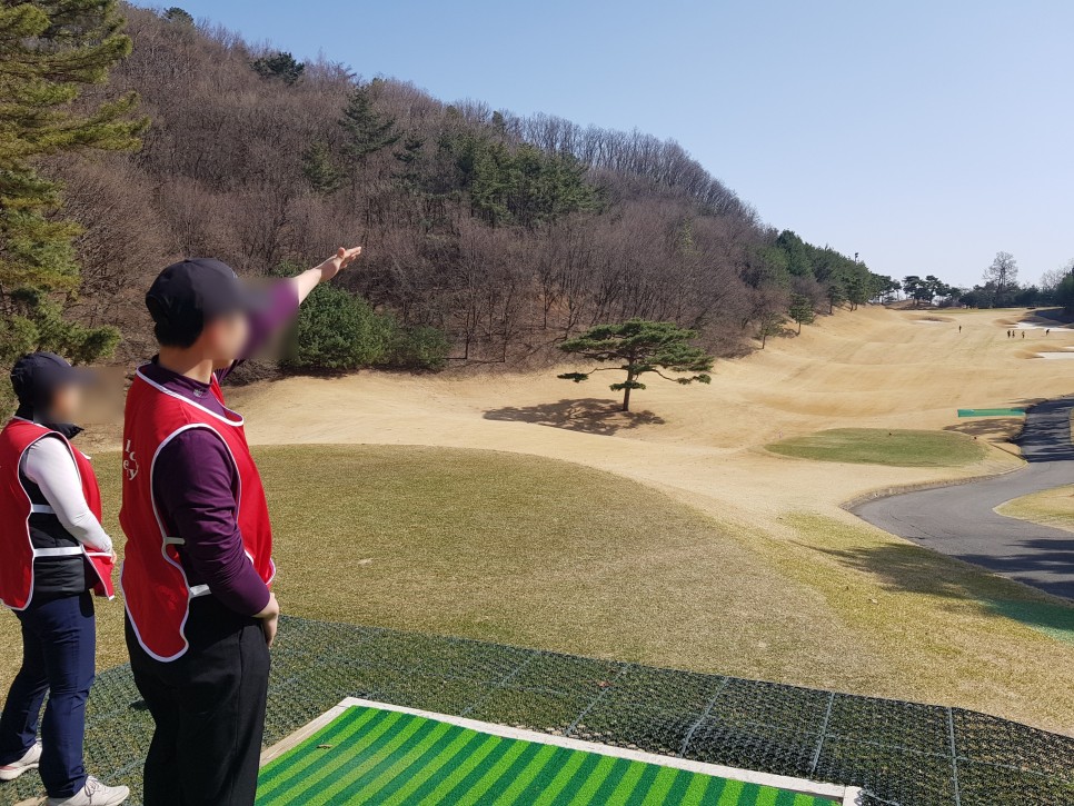 캐디버디아카데미