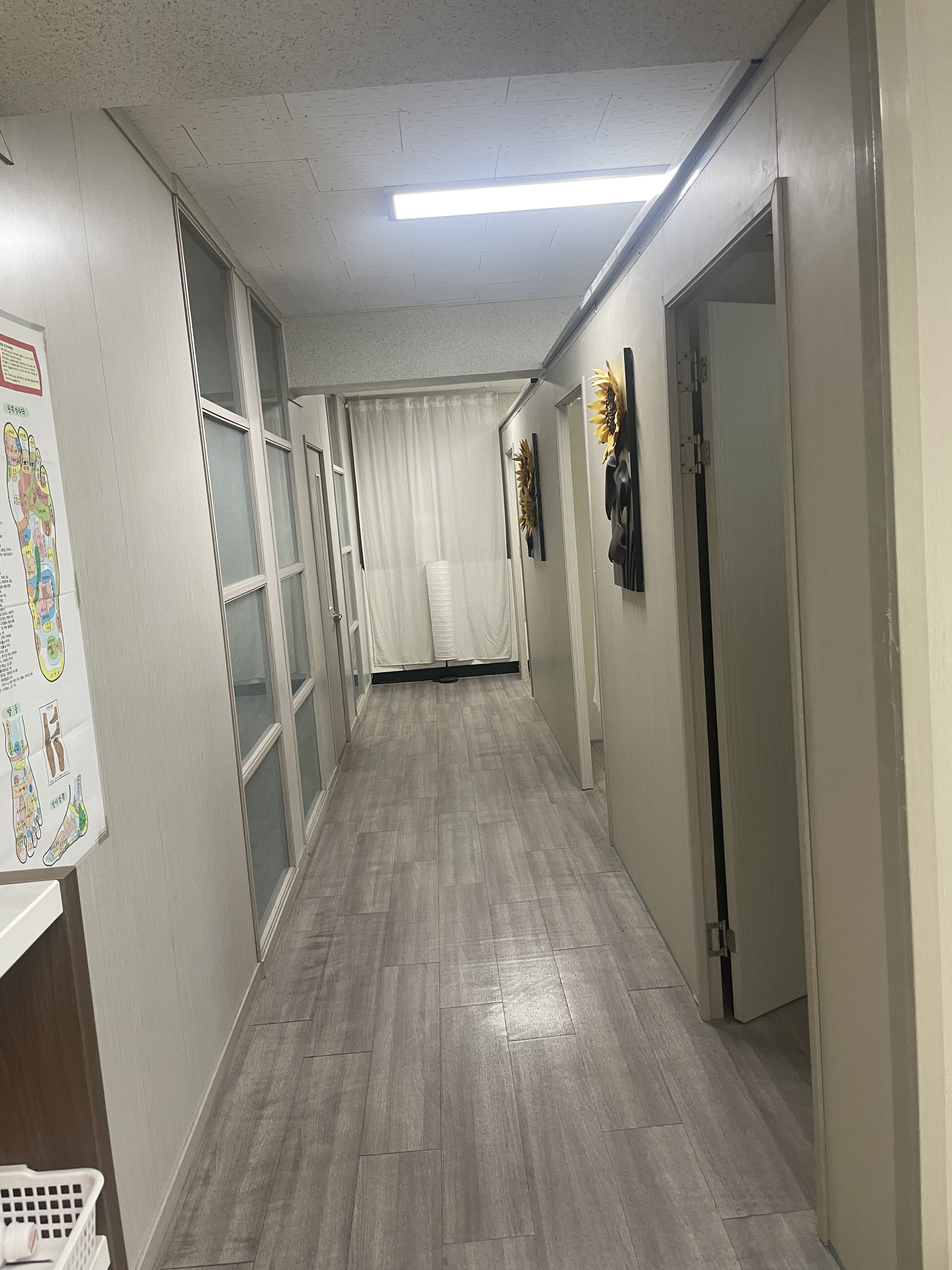 복약손 photo 2