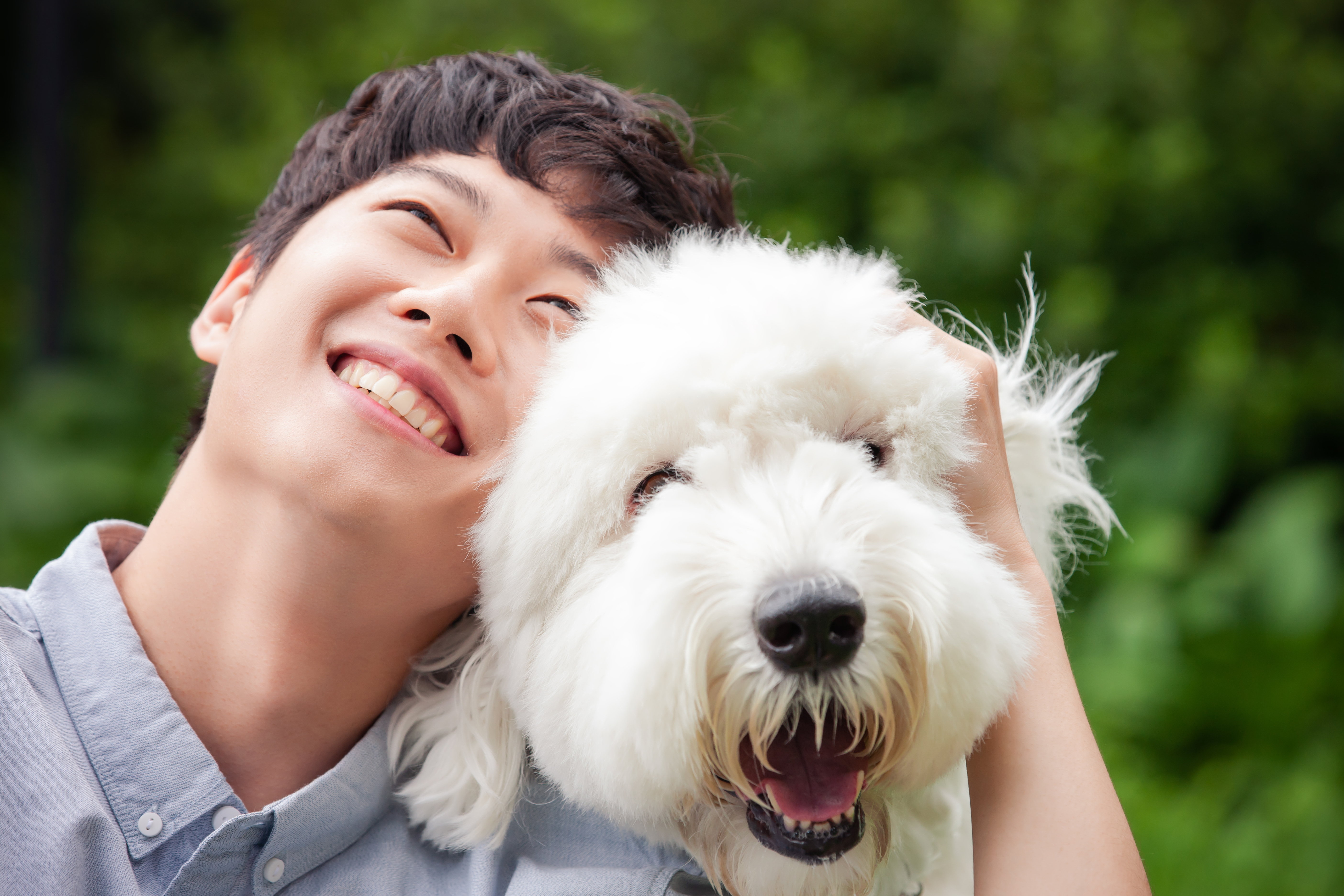 펠리스뻬로 파크 안성시 애견맛집