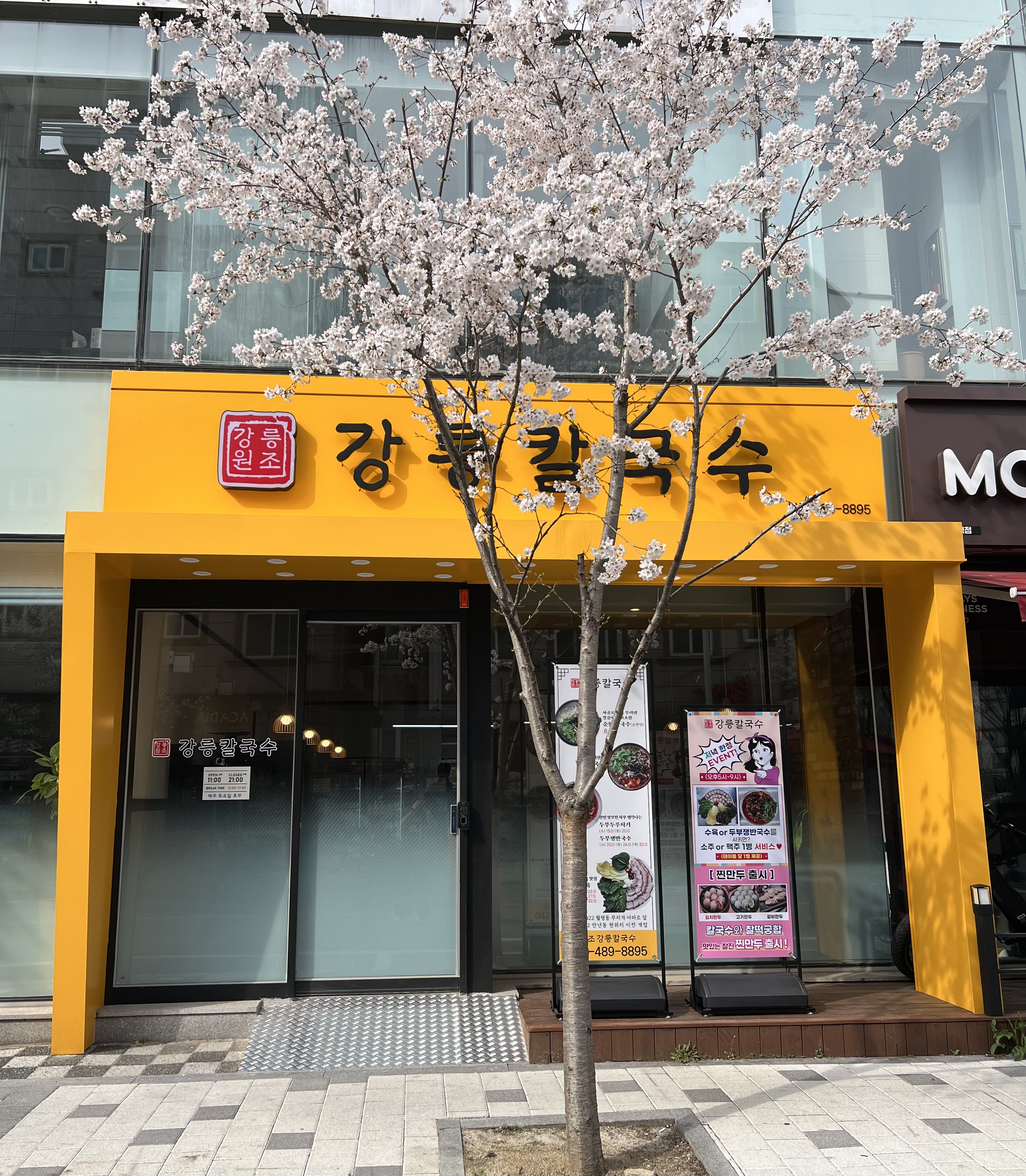 원조강릉칼국수