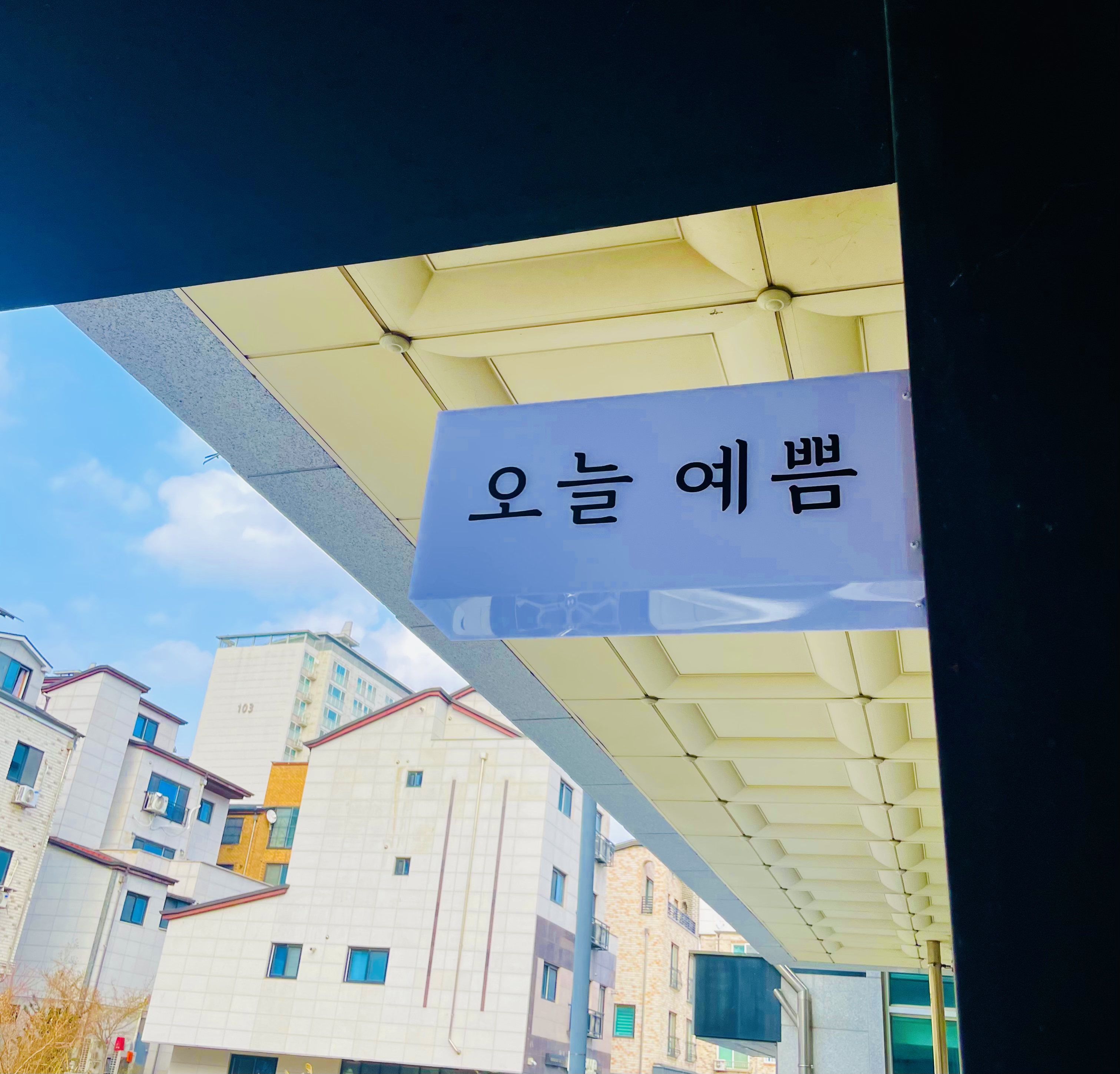 오늘예쁨