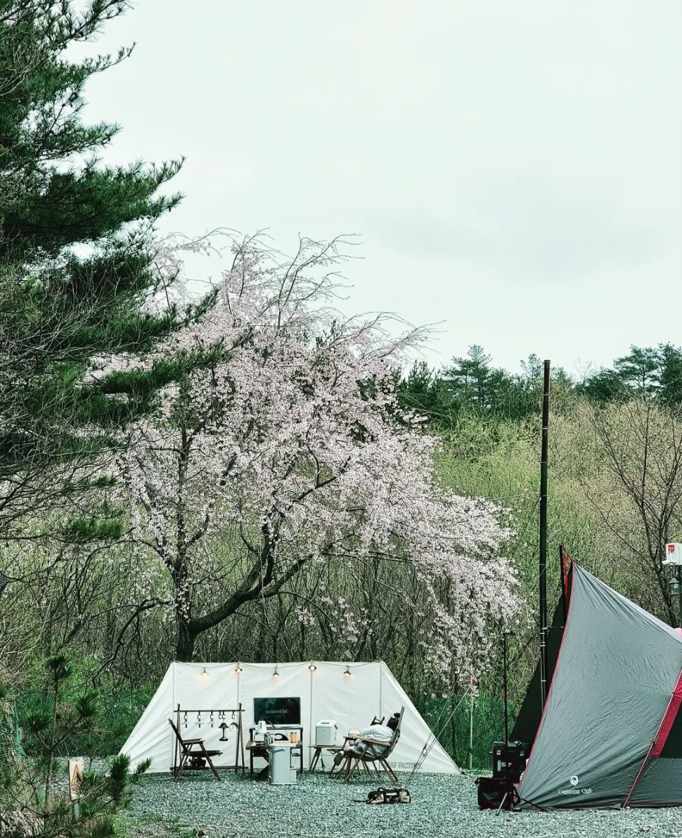 영덕 칠보산 오토캠핑장