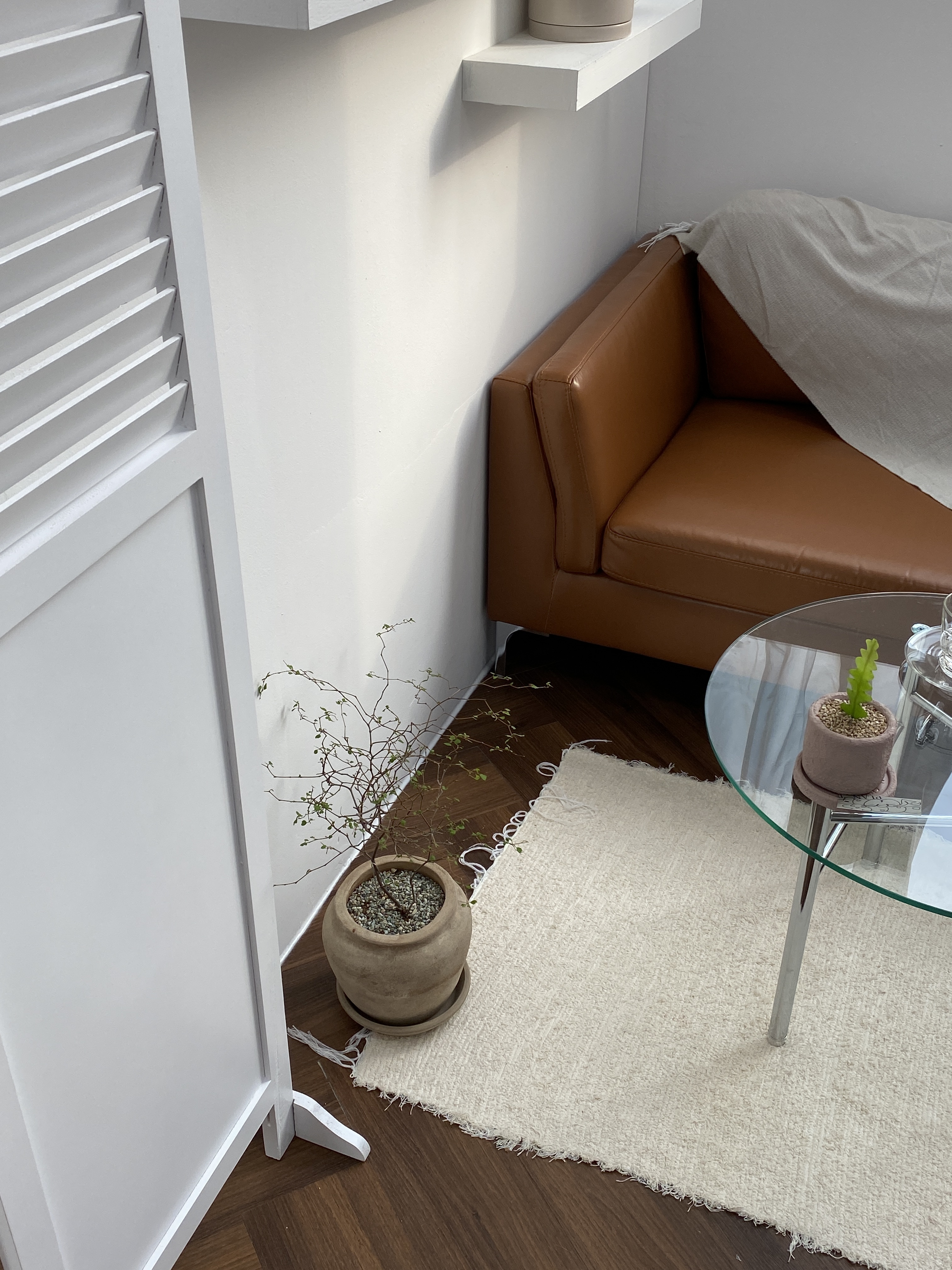 아이오에스테틱 대표 이미지