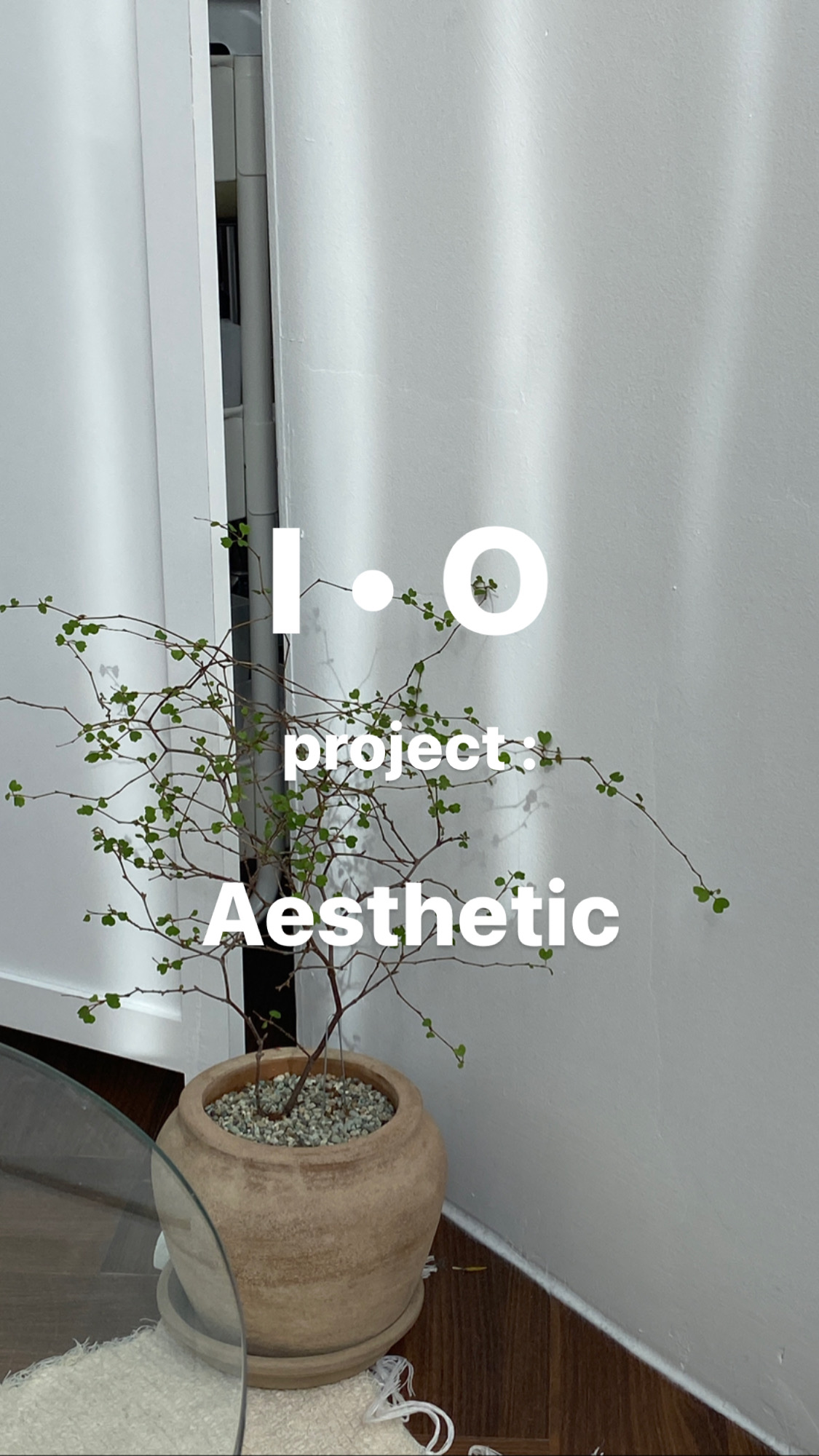 아이오에스테틱 대표 이미지