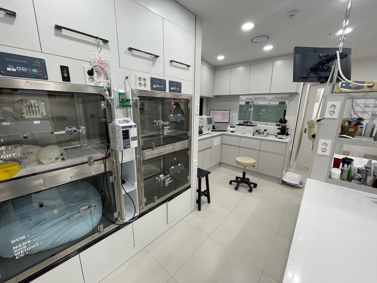 월드펫동물병원 대표 이미지