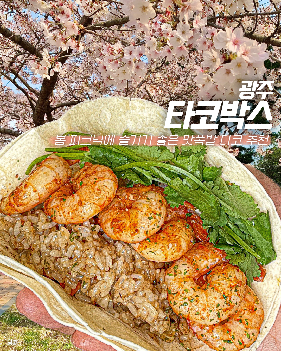 타코박스 남구점