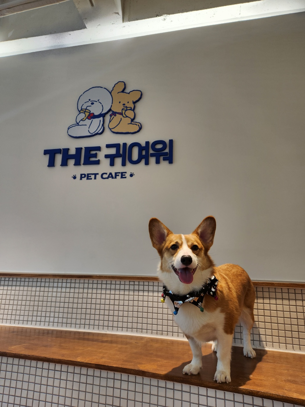 THE귀여워 4