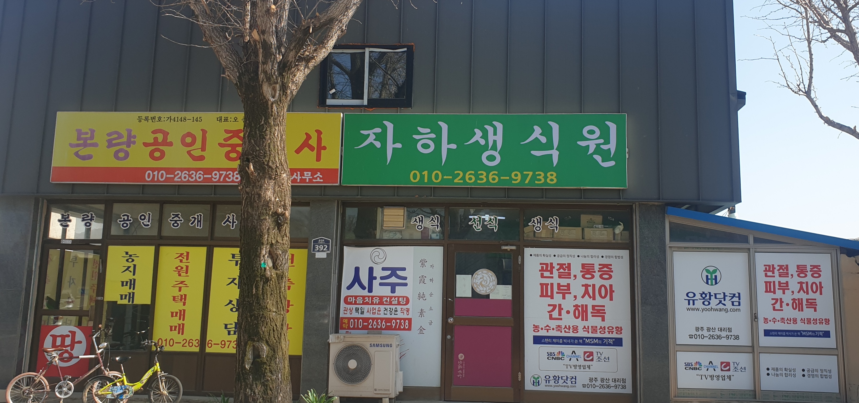 자하생식원