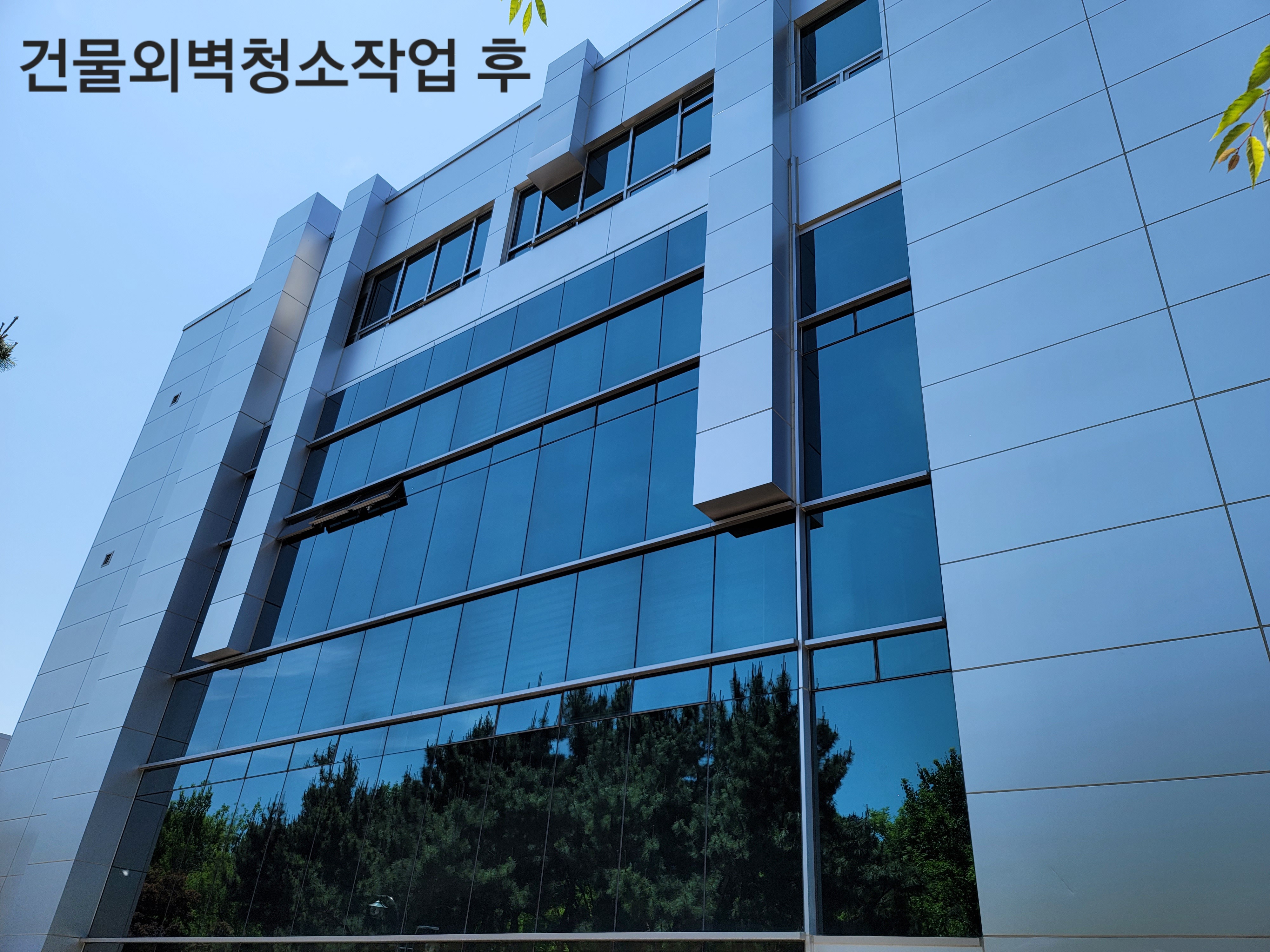 매직크린종합관리