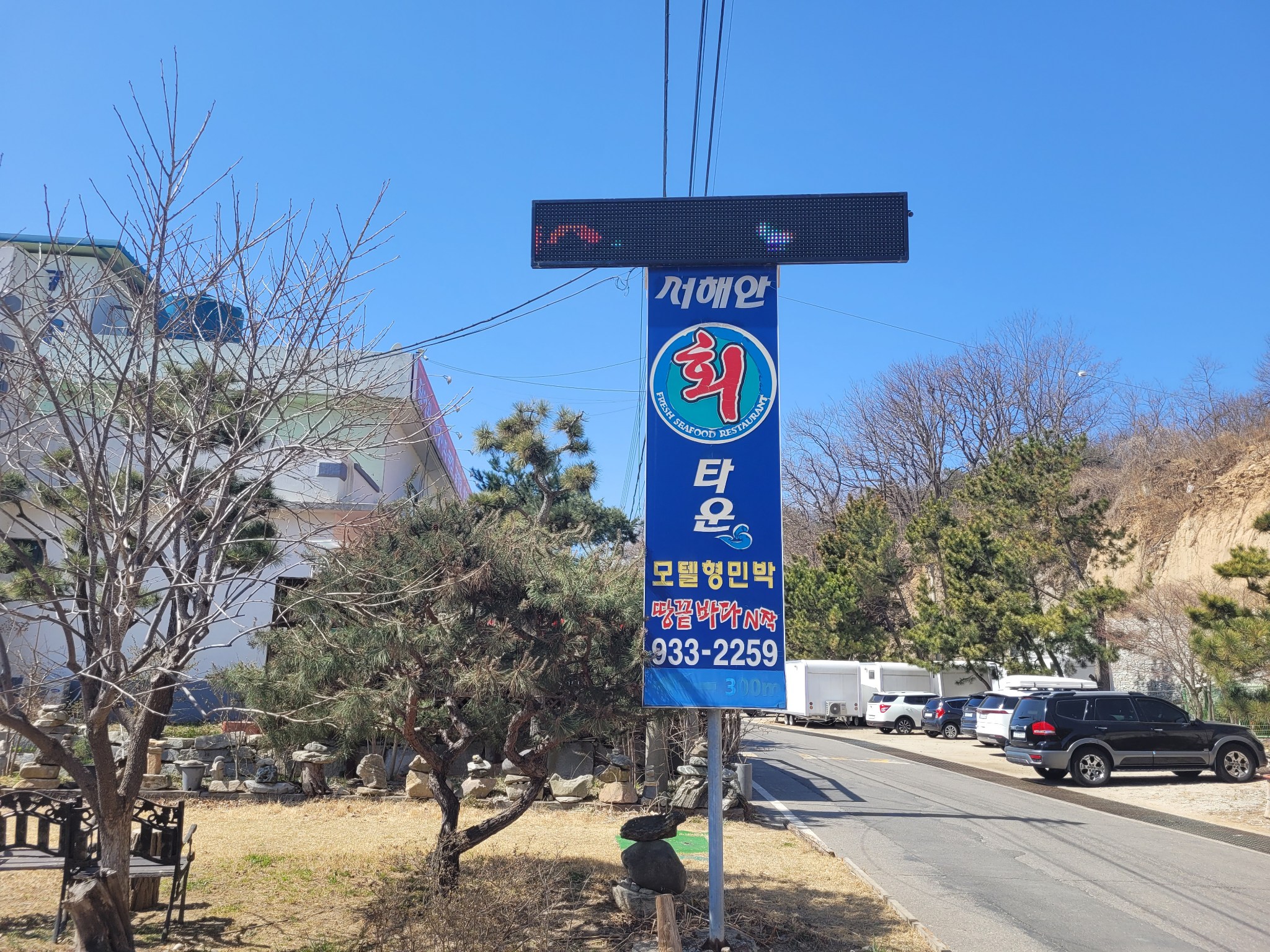서해안회타운