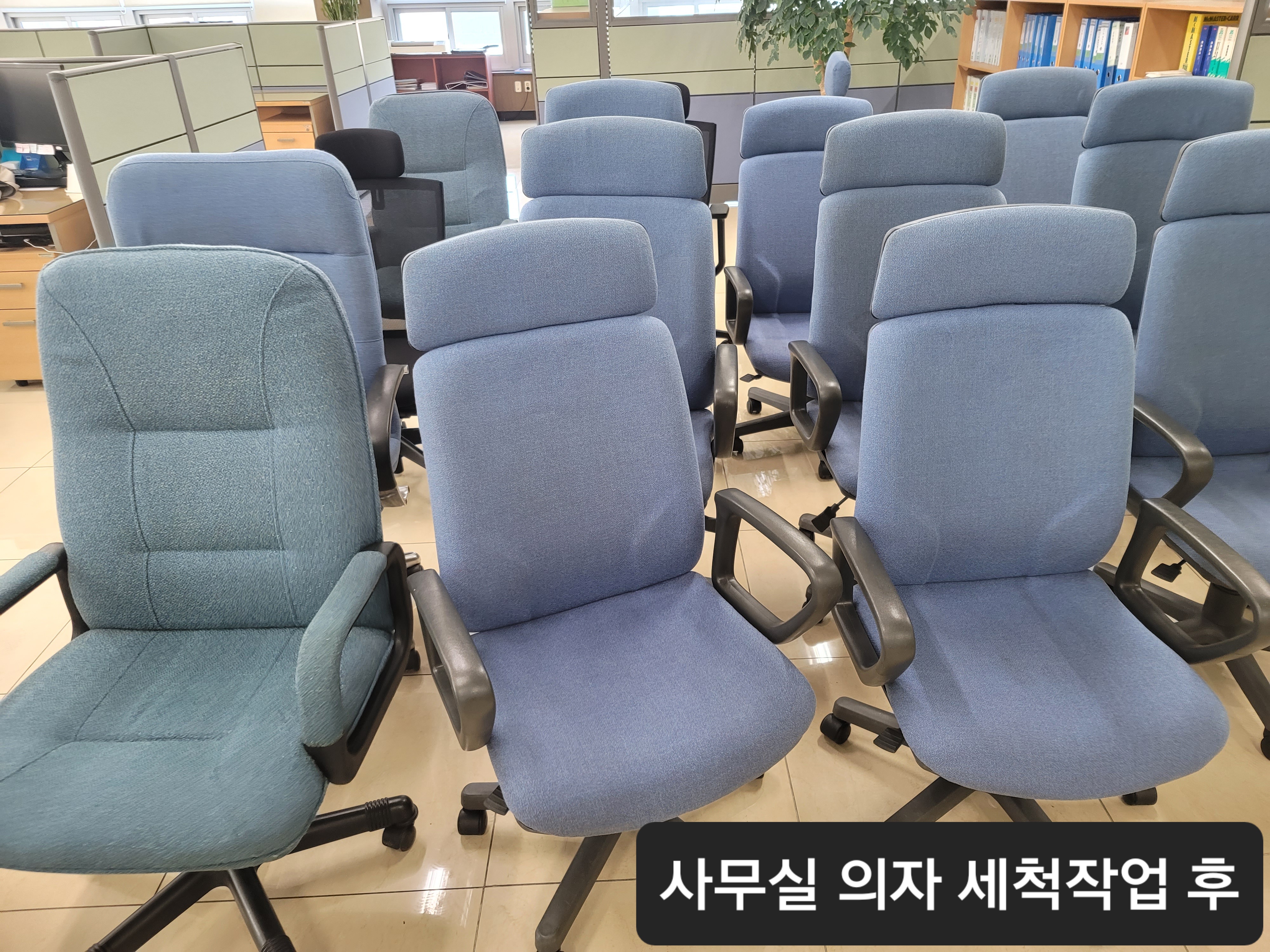 매직크린종합관리