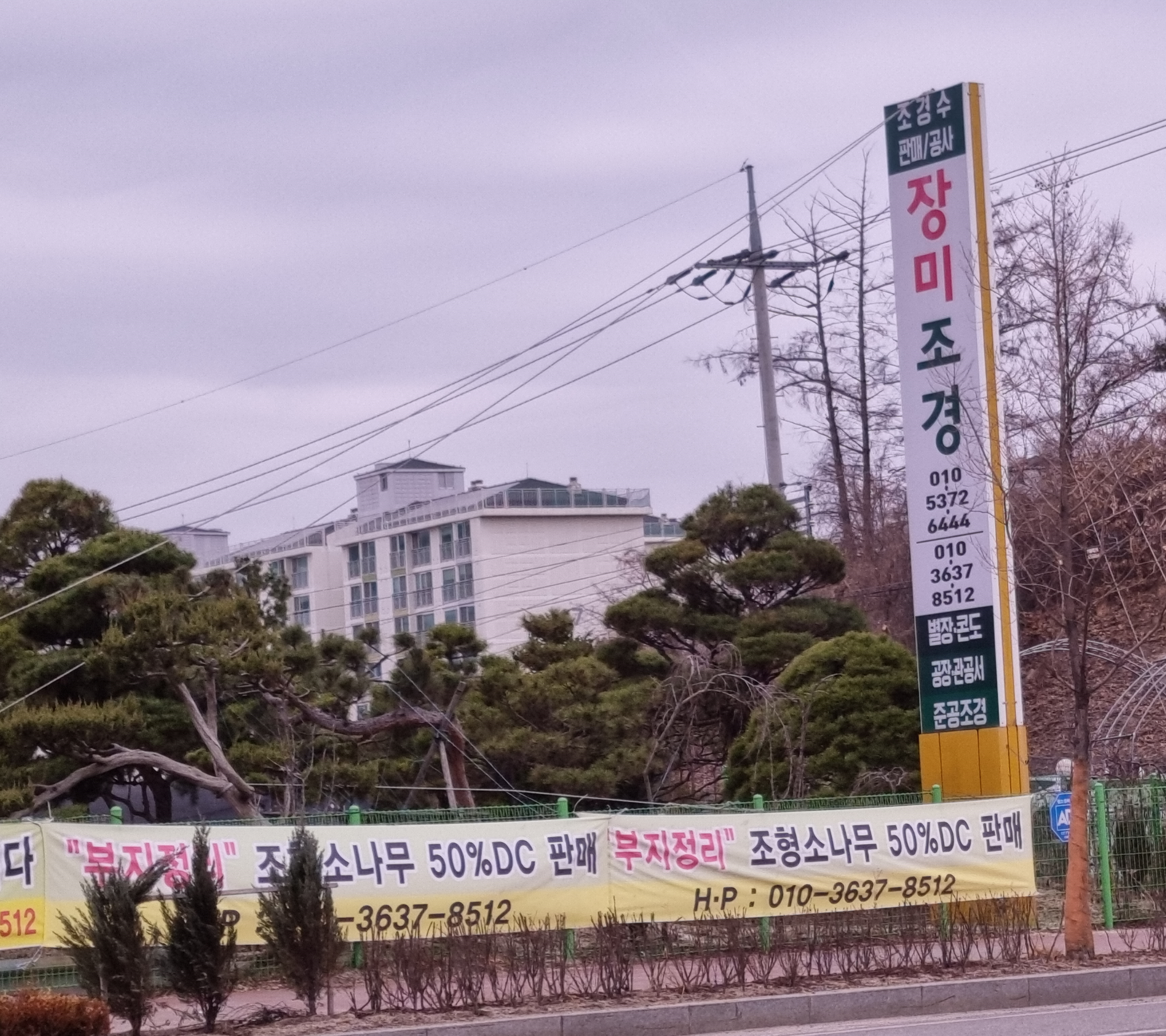 장미조경