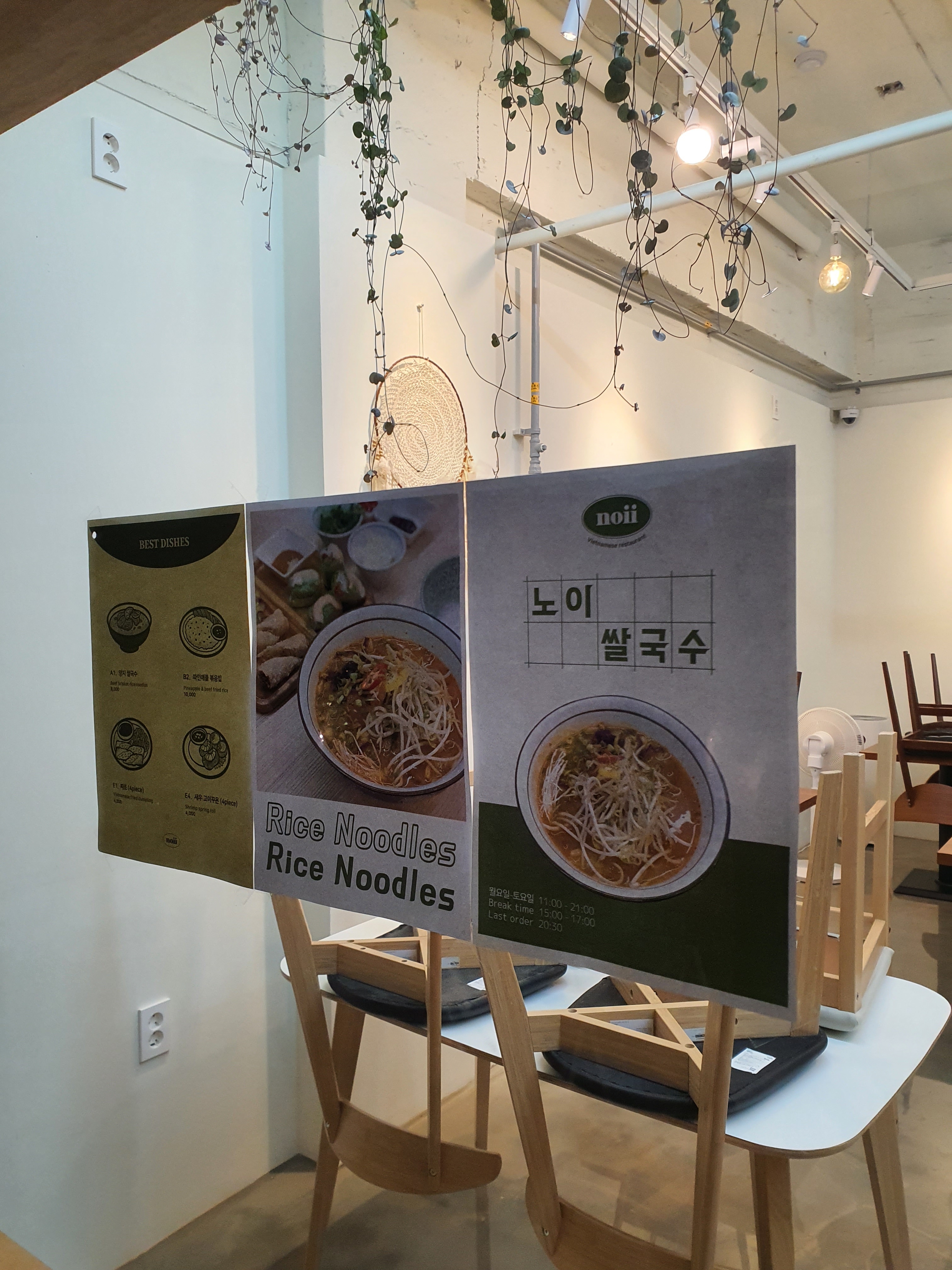 노이 대표 이미지