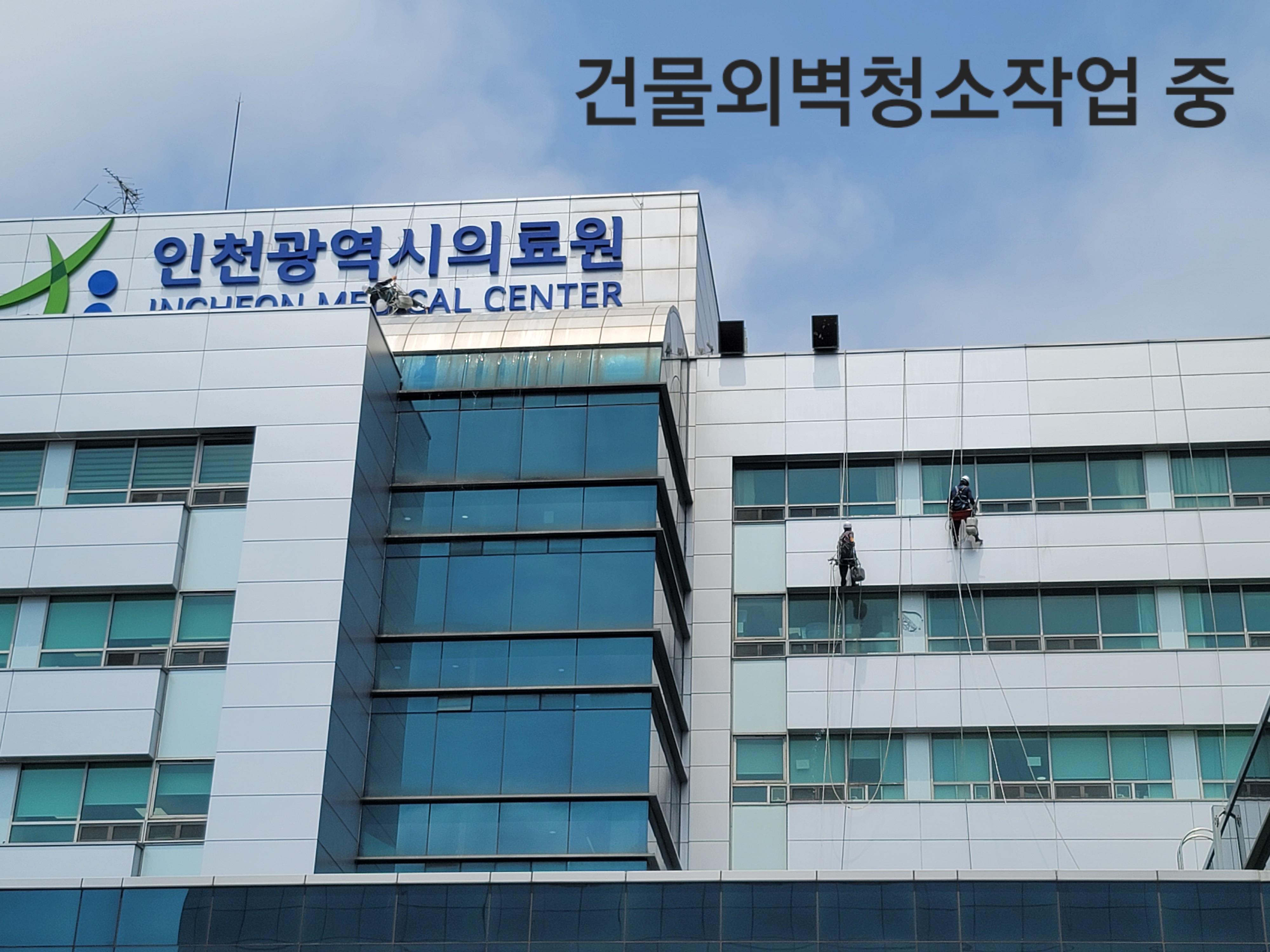 매직크린종합관리