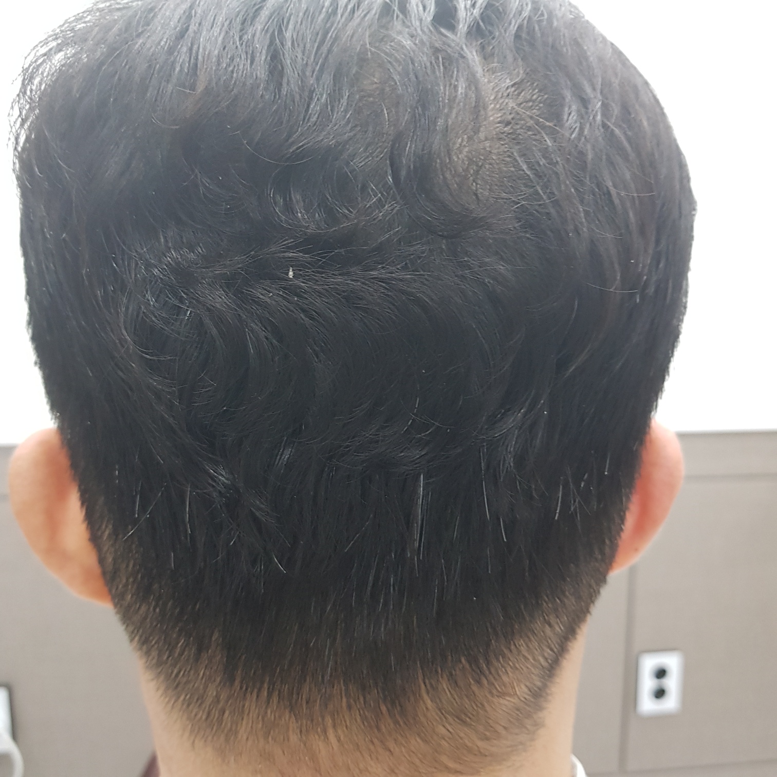 반헤스헤어