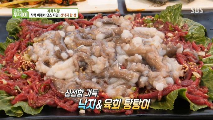 낙지박사