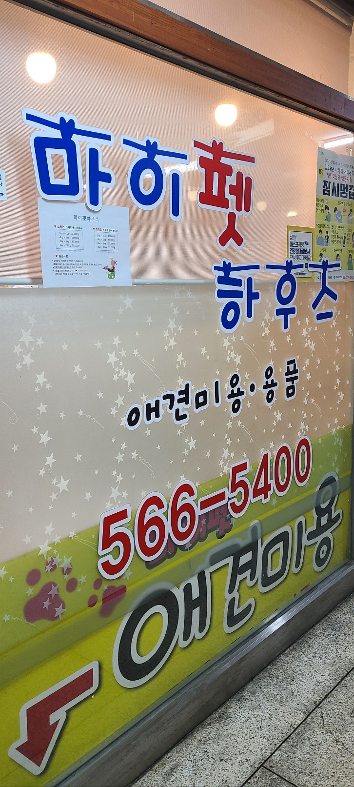 경기 구리시 애견용품 전문업체 추천 강아지스카프 애견용품샵 강아지목줄 강아지쿨나시 강아지쿨조끼 마이펫하우스