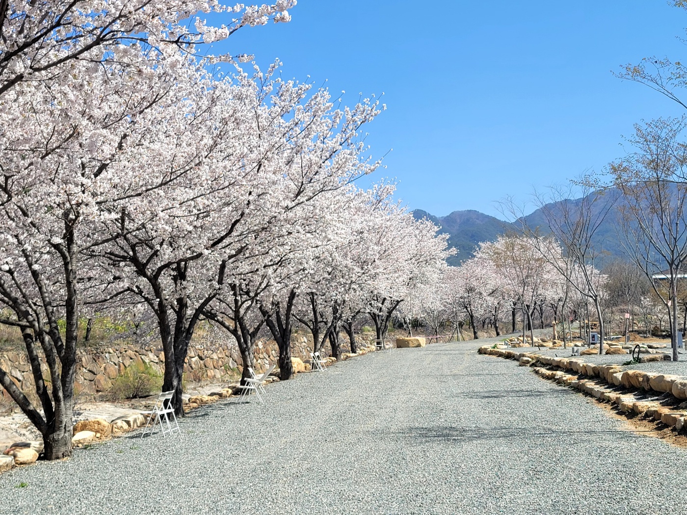 화왕산오토캠핑장