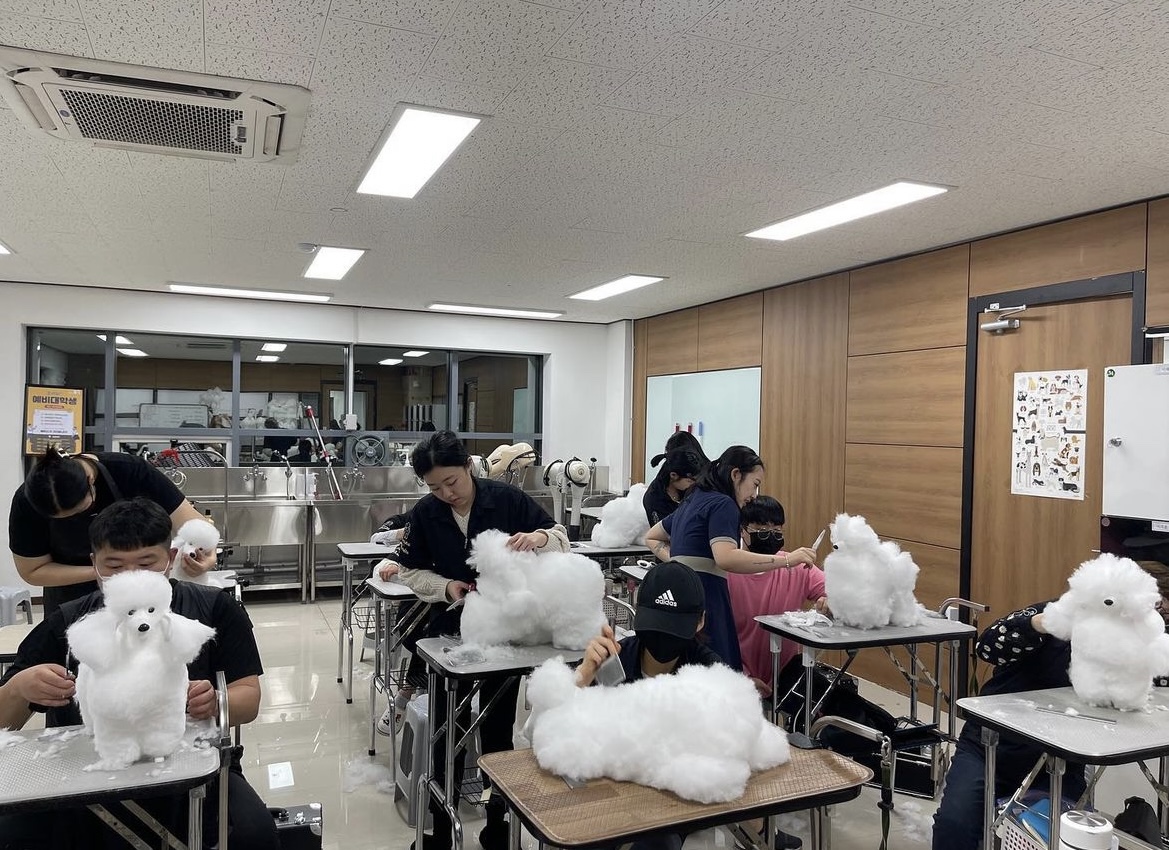 김포에이스애견미용학원
