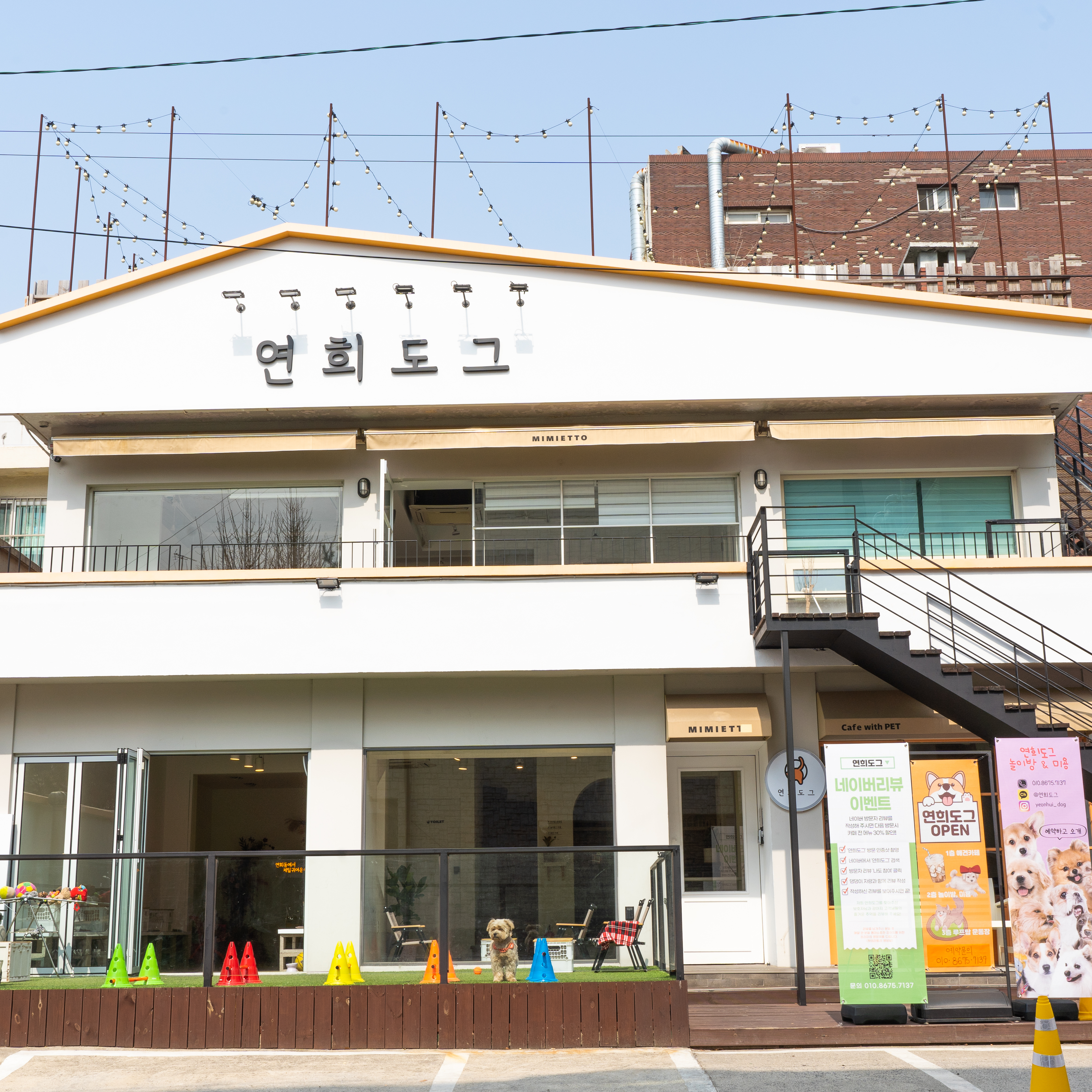 연희도그 대표 이미지