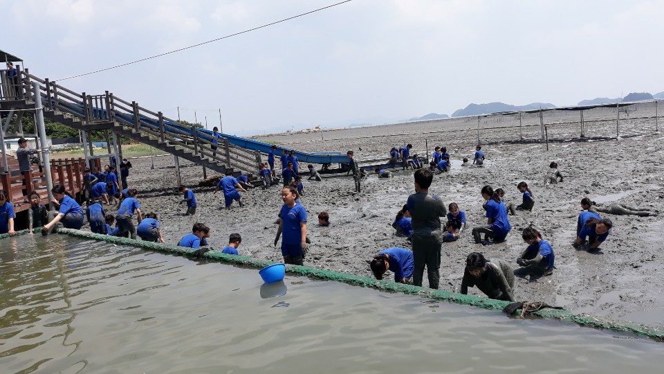 거차뻘배체험장
