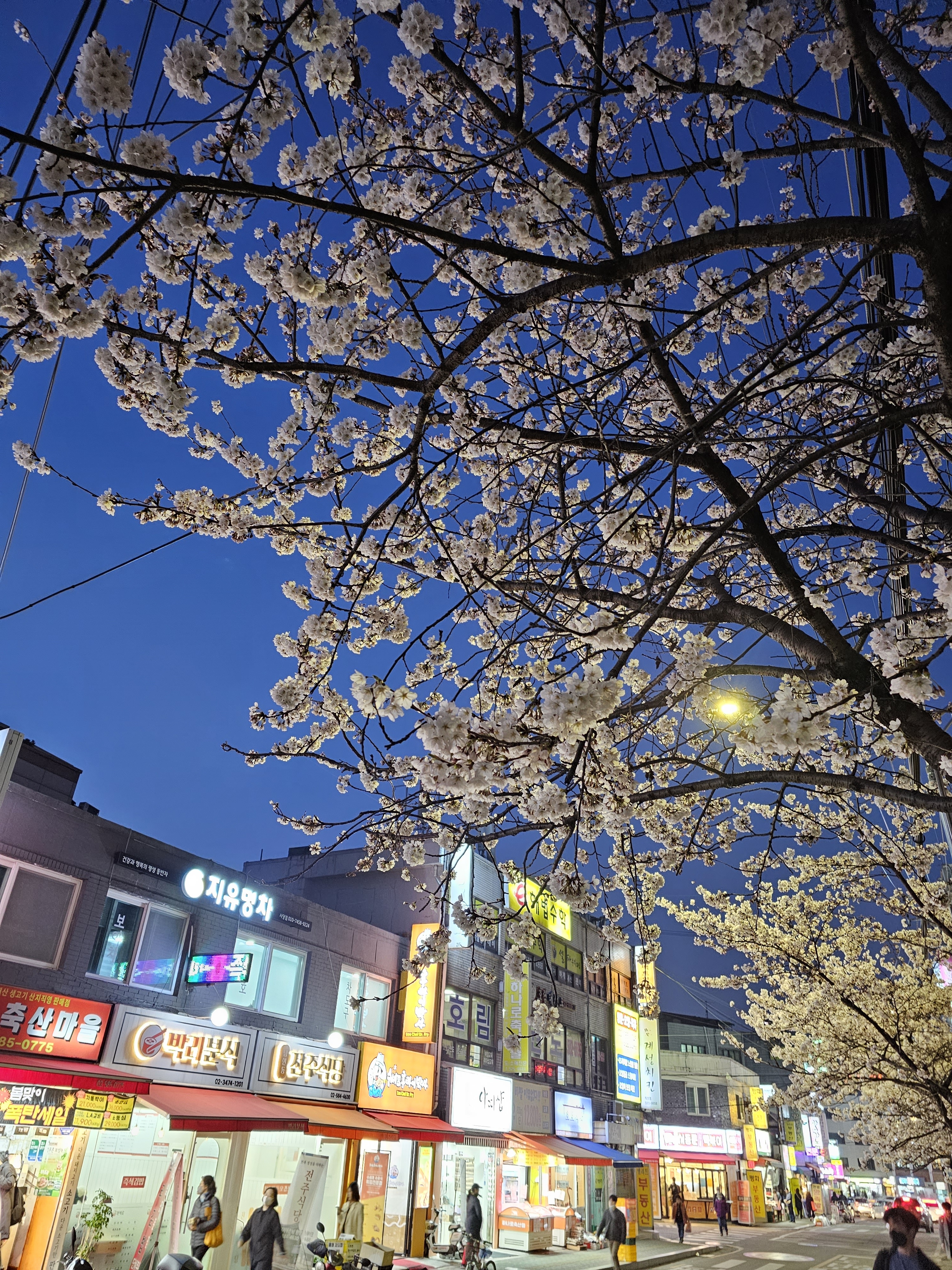 지유명차 사당점