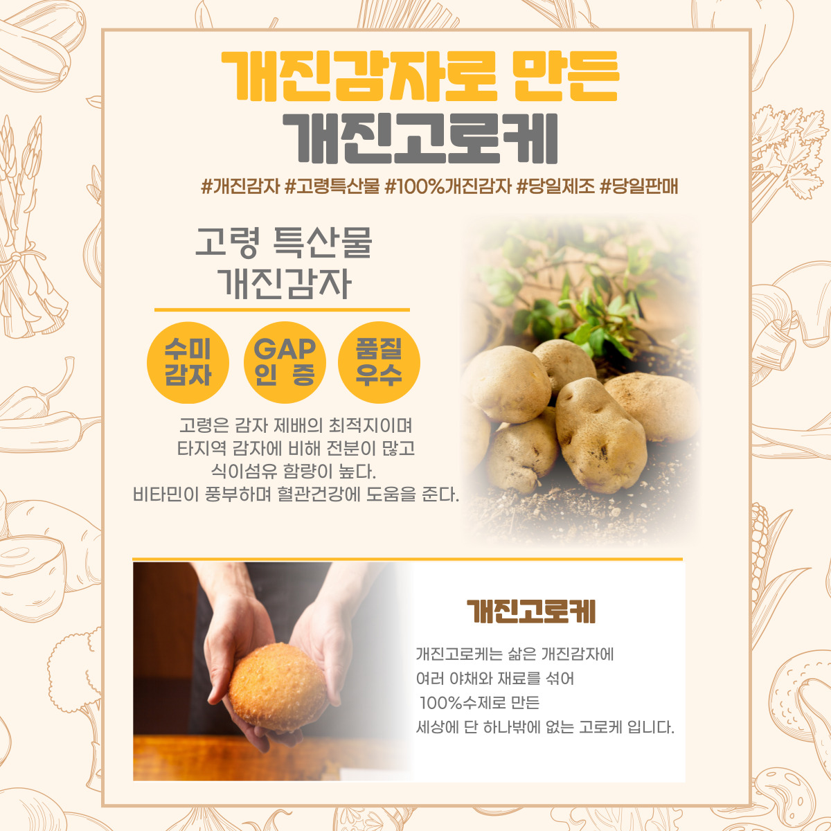 개진고로케 경상 애견맛집