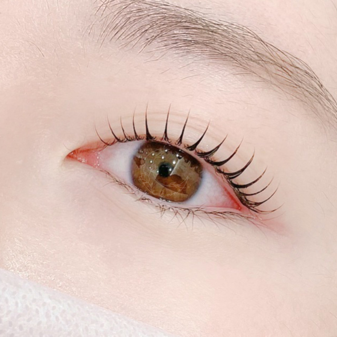 뷰티디안느 분당정자본점 대표 이미지