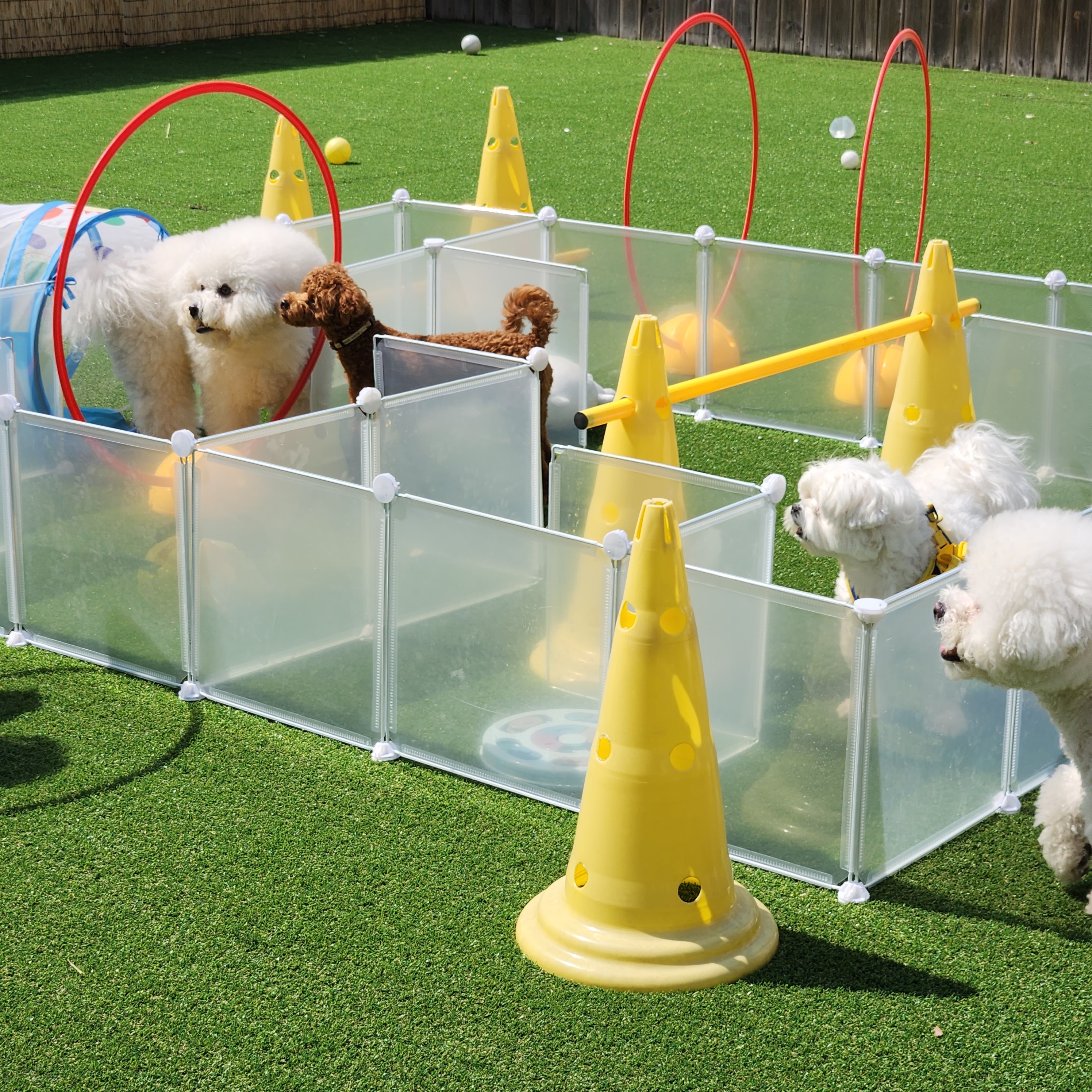 놀펫 대표 이미지