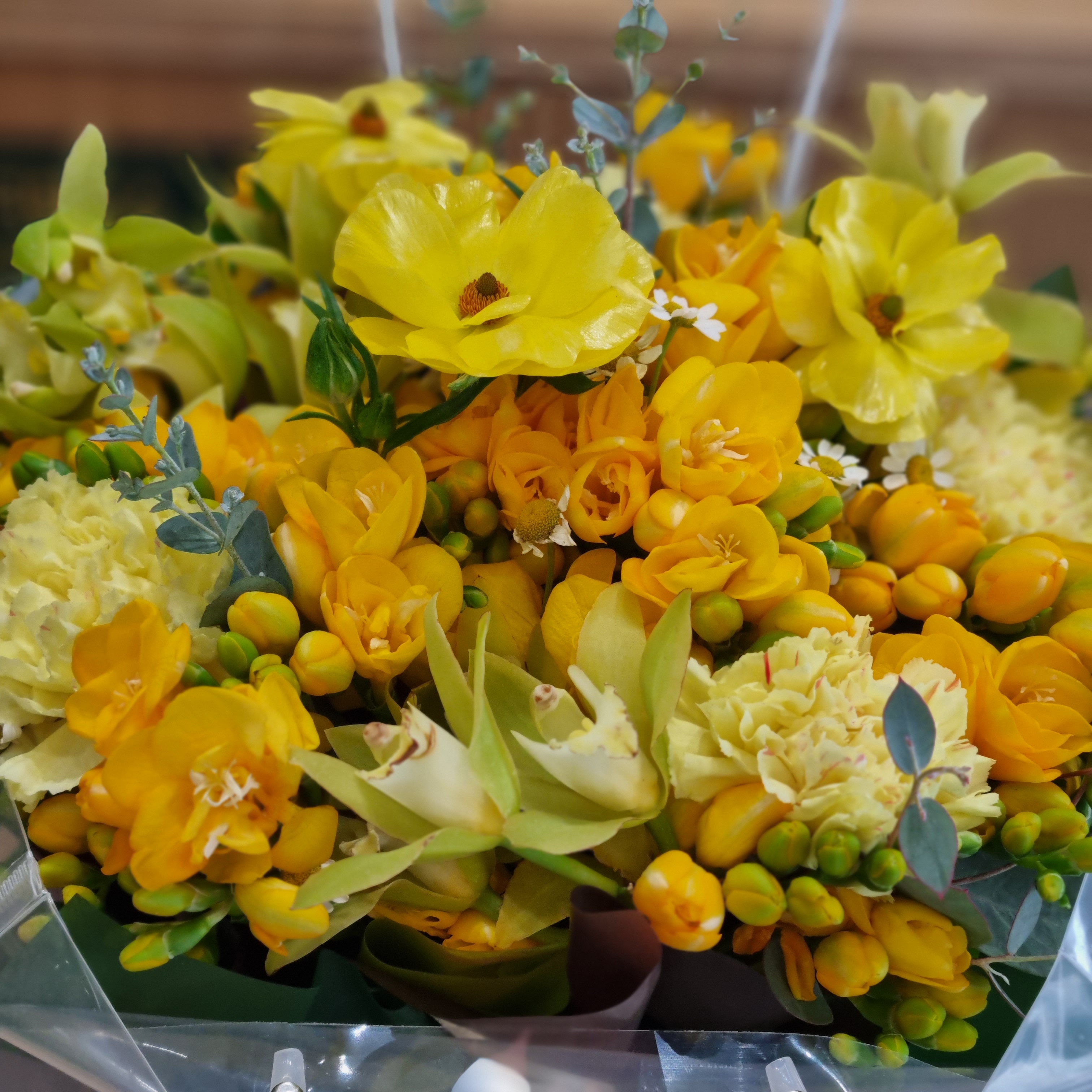 영셀매니아 대표 이미지