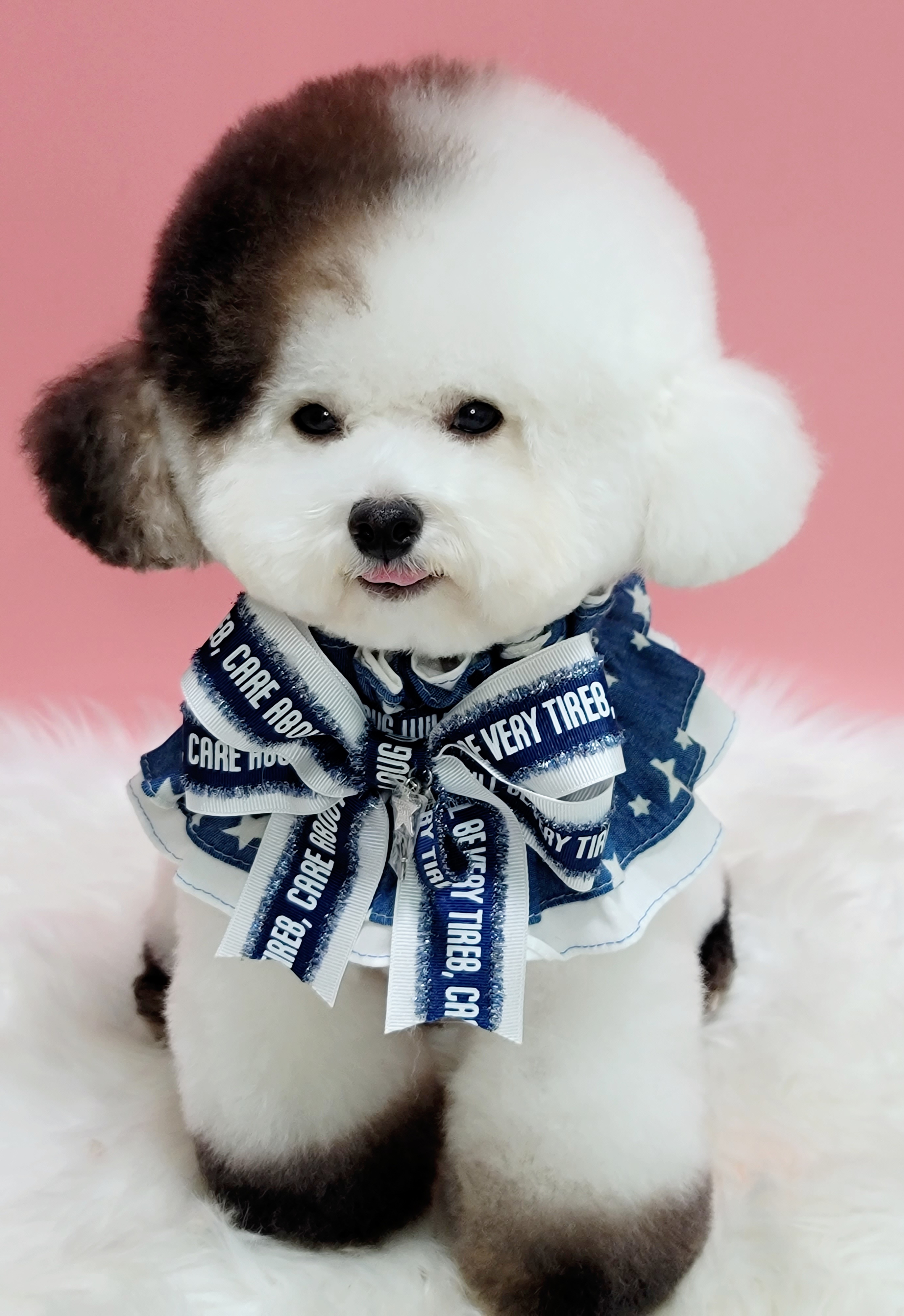 온댕 대표 이미지