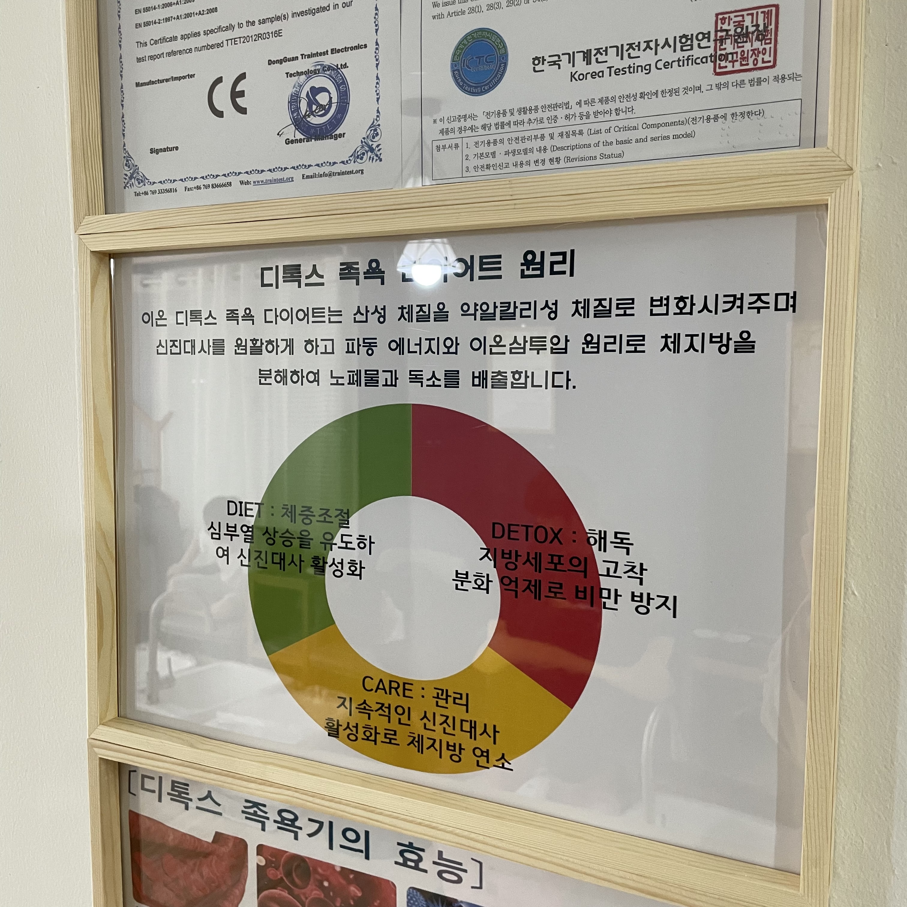 힐링숲라파 익산모현점