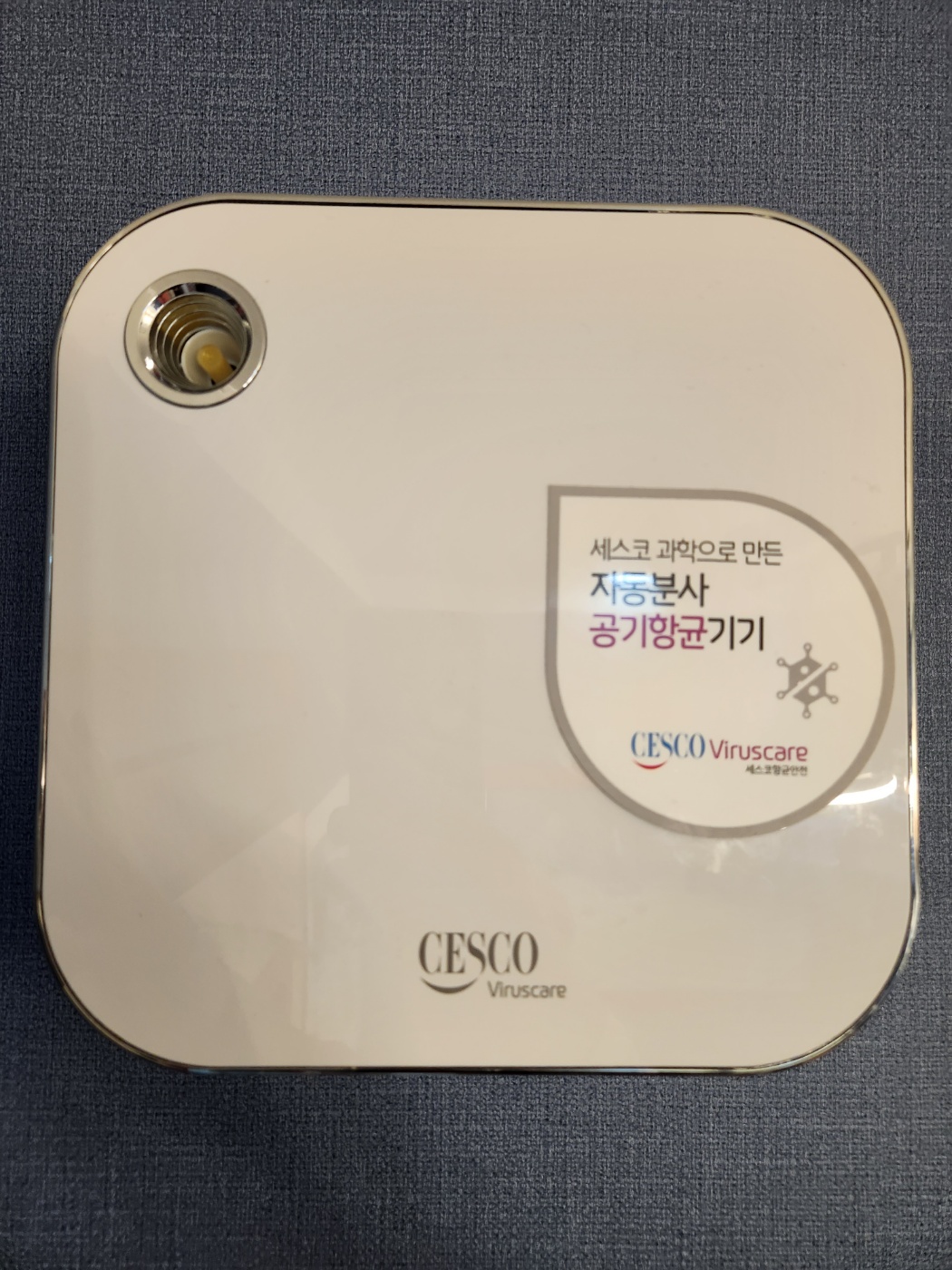 홍익태권도&파워점핑줄넘기&외발자전거 스포츠클럽 대표 이미지