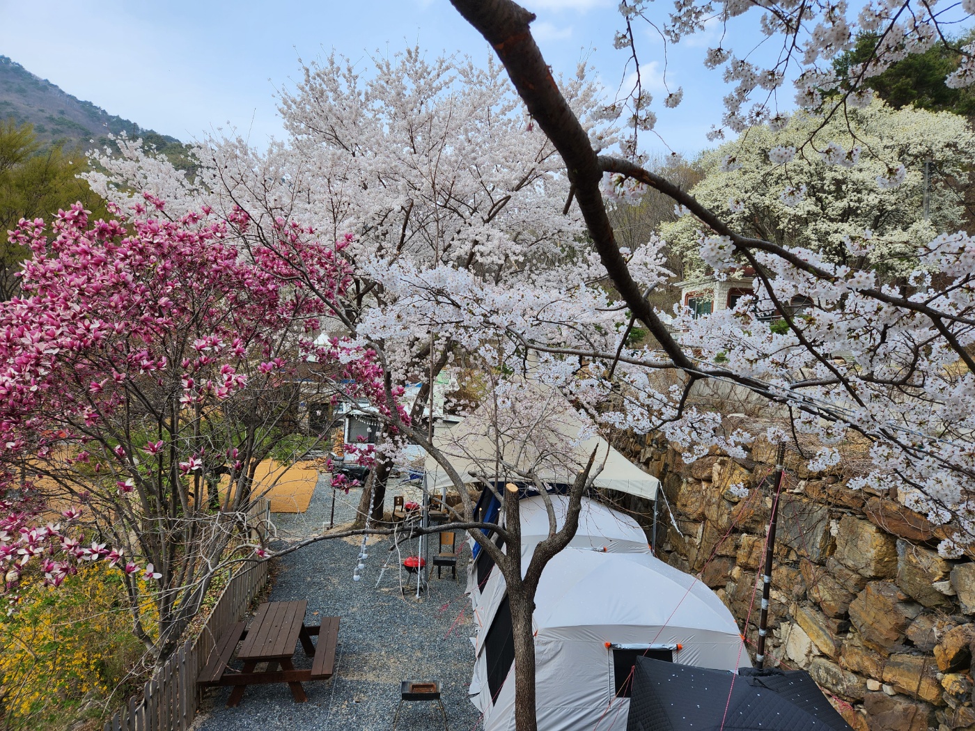 산내415 카페가든&캠핑